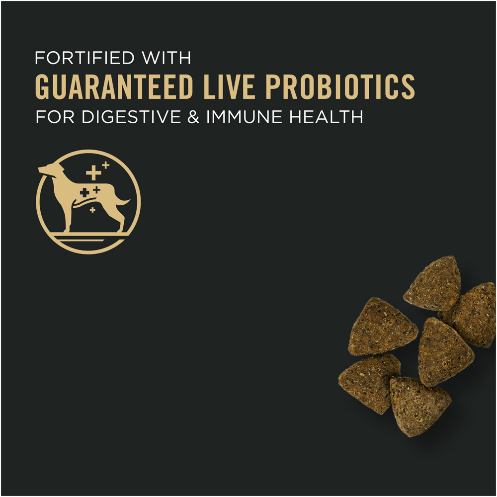 Purina Pro Plan Sensitive Skin & Stomach Dry Dog Food - Turkey & Oatmeal Formula for Digestive Health | Ideal for Dogs with Allergies & Sensitive Stomachs | Perfect for Daily Feeding & Digestive Support