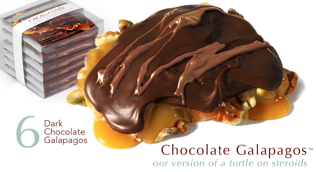 Premium Dark Chocolate Galapagos Turtles - 6-Piece Gourmet Gift Box | Perfect for Holidays, Birthdays & Corporate Gifts