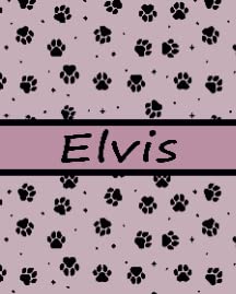 Personalized Dog Blanket Paws Name6