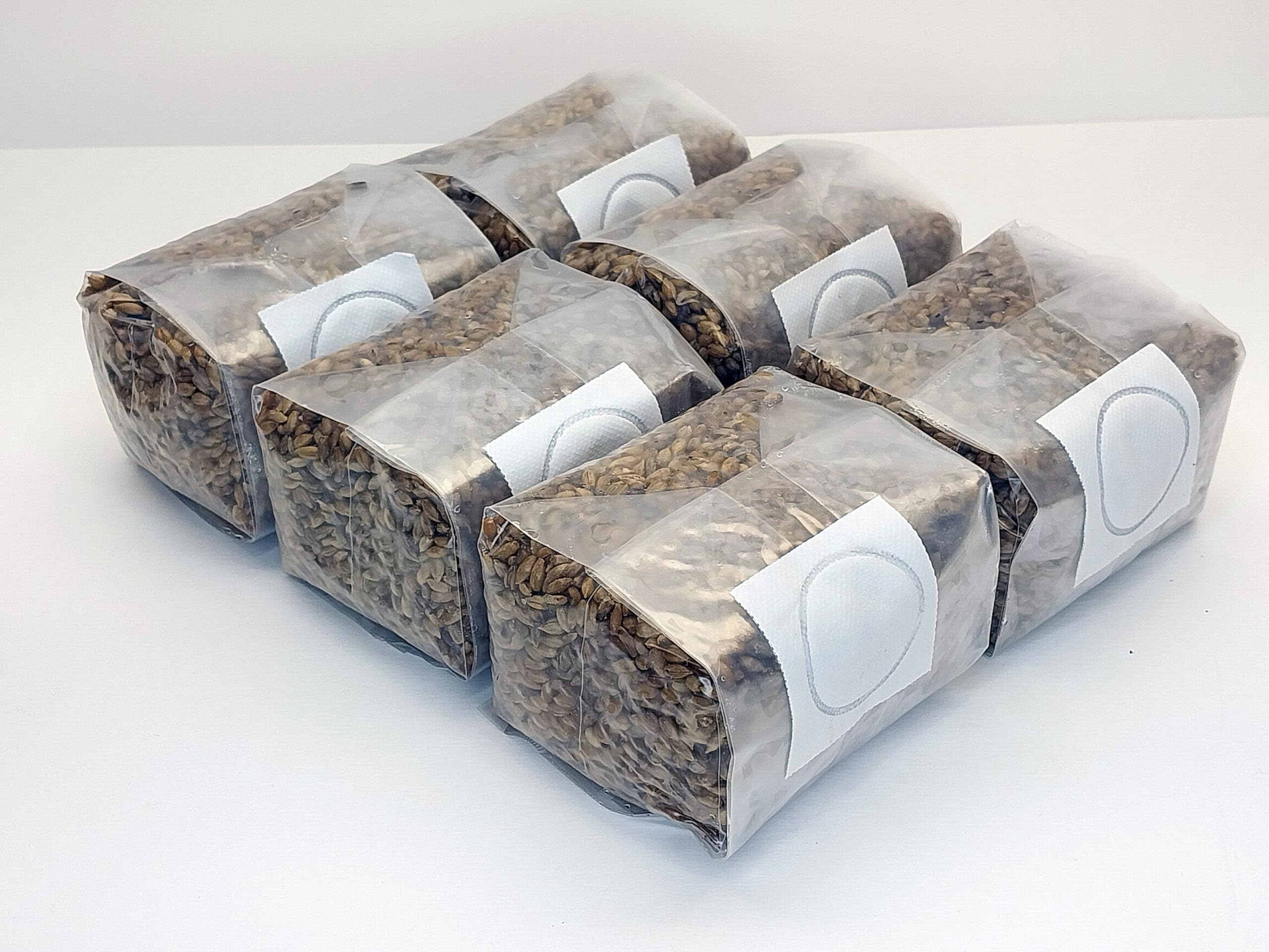 Sterilized Rye Berry Mushroom Substrate Bags - 6 Pack (1lb Each) for Grain Spawn & Mycelium Cultivation - Perfect for Growing Oyster, Shiitake, and Lion's Mane Mushrooms at Home