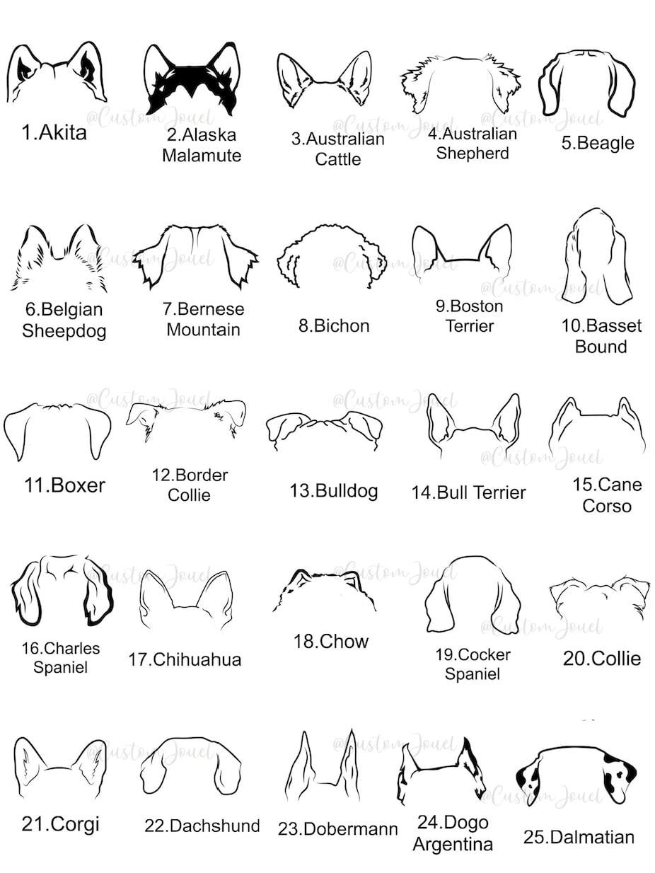 Personalized Dog Breed Necklace - Custom Engraved Dog Ears Pendant with Decorative Ball Charm - Unique Dog Owner Jewelry Gift for Women - Perfect for Pet Lovers, Birthday Presents & Anniversary Gifts