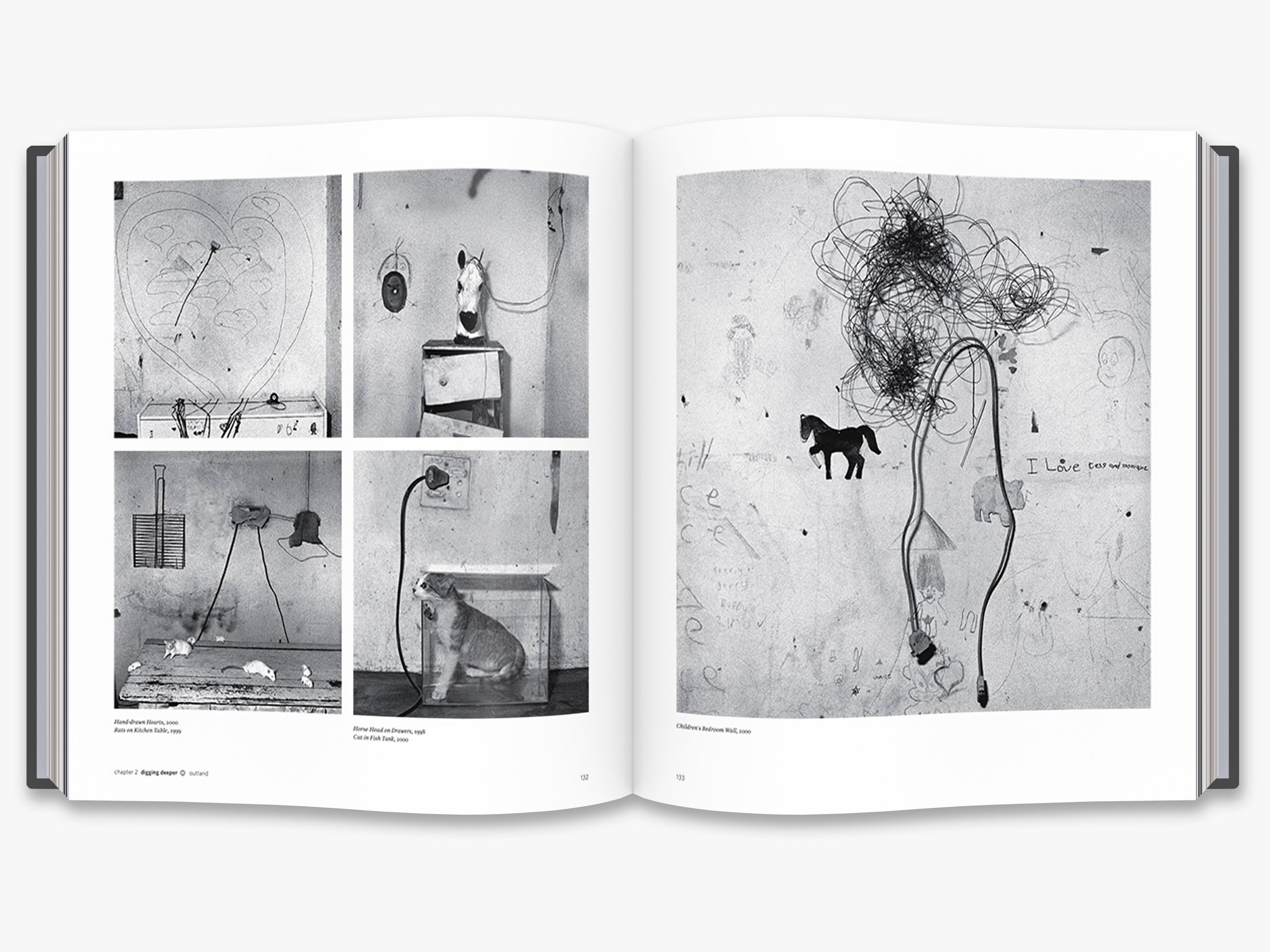 Ballenesque (Collector's Edition) - Roger Ballen Photography Book - Limited Edition Art Book for Photography Enthusiasts & Collectors - Perfect for Coffee Table Display & Art Inspiration