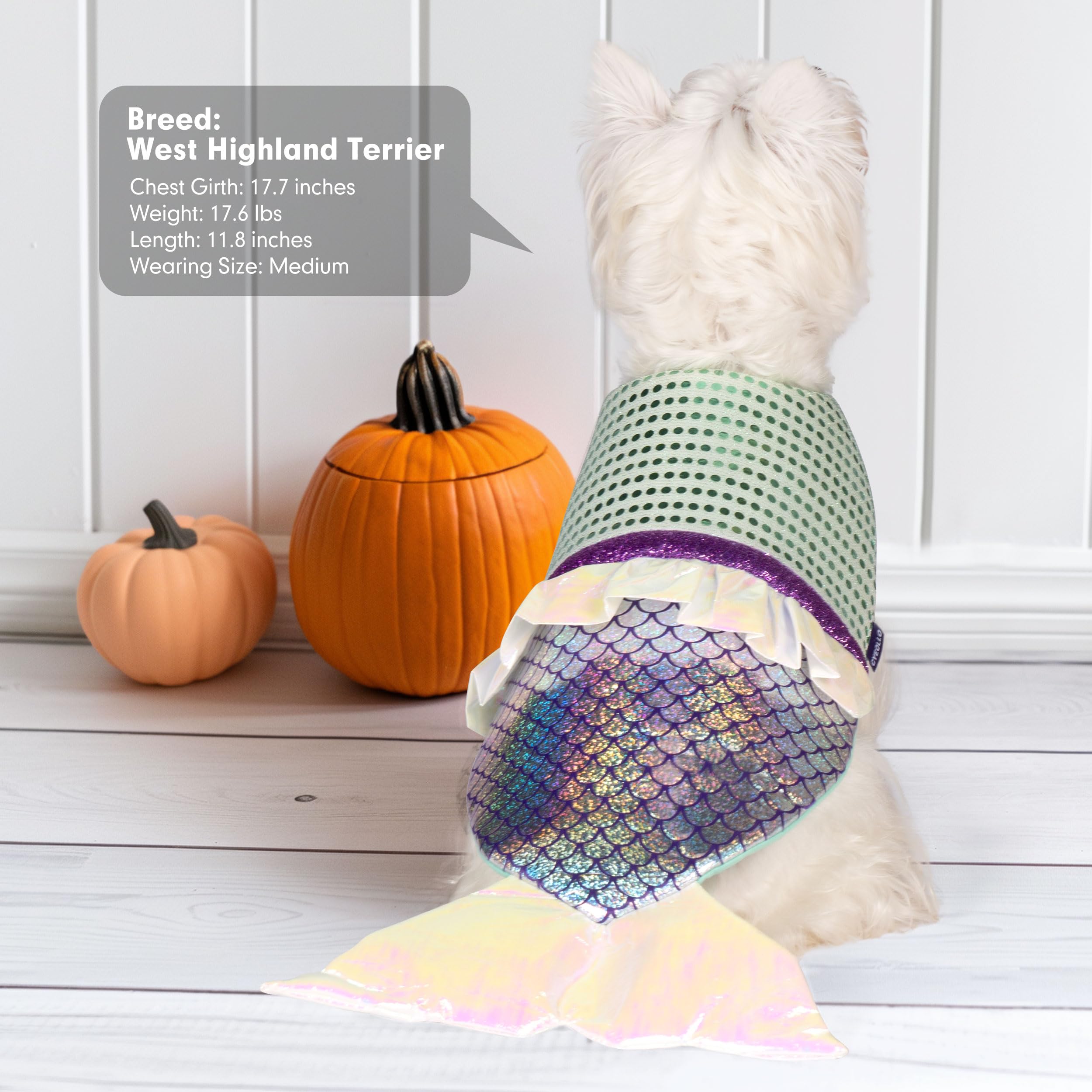 Cute Mermaid Costume for Small Dogs - Halloween, Birthday & Holiday Party Outfit | Funny Pet Costume for Puppies (Size XS) | Perfect for Dress-Up, Photo Shoots & Special Occasions