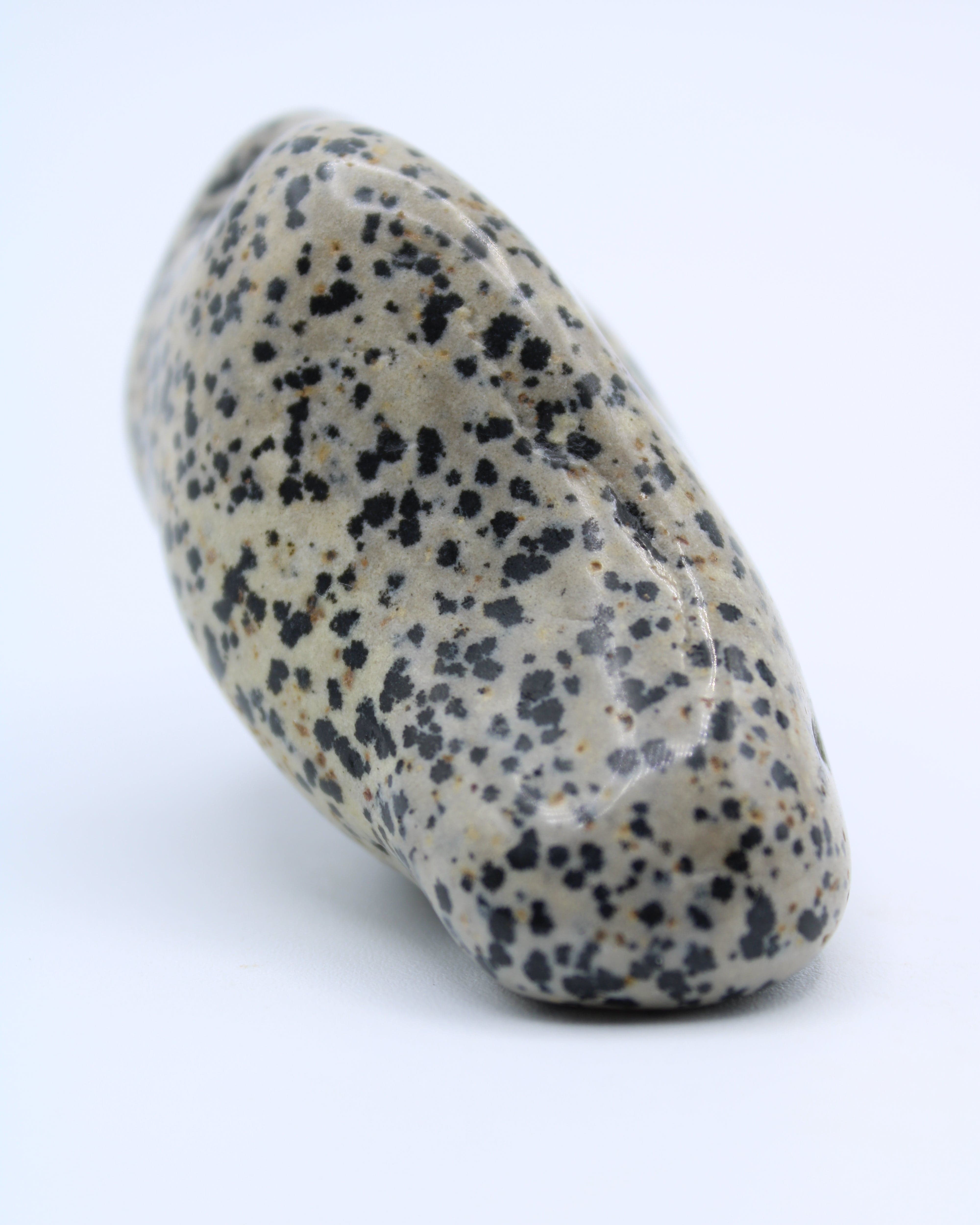 Natural Dalmatian Jasper Free Form Stone - Healing Crystal for Meditation, Chakra Balancing & Home Decor | Perfect for Spiritual Gifts, Yoga & Reiki
