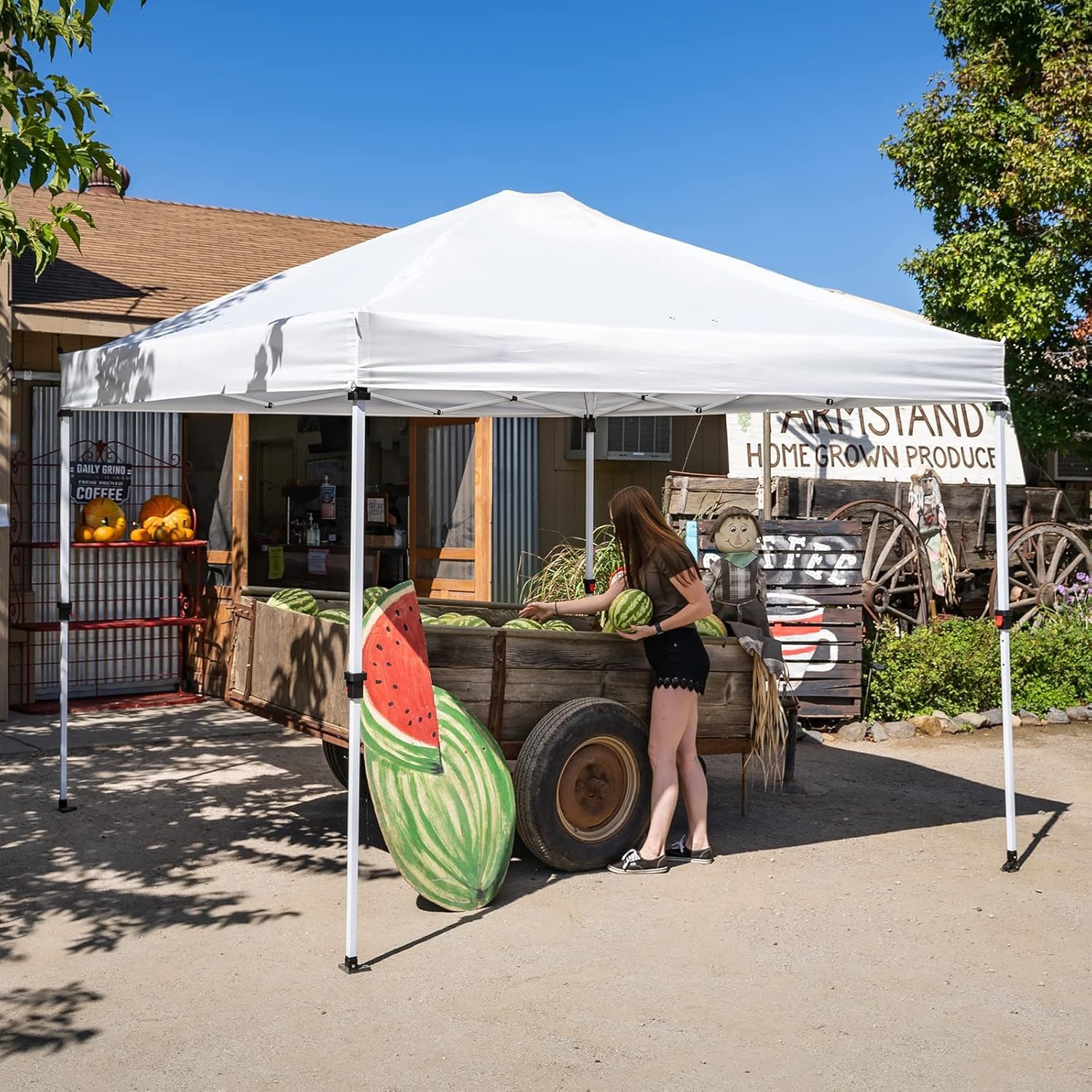 CROWN SHADES 10x10 Pop Up Canopy Tent - Instant Commercial Canopy with Removable Sidewall, 2 Crossbars, 4 Ropes, 8 Stakes & Weight Bags - Portable Shelter for Outdoor Events, Parties, Camping & Beach Use