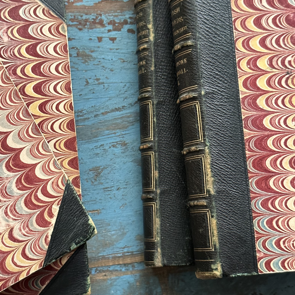 Antique 4 Volume Set: British Seaweeds by Henry Bradbury (1859) - Rare Victorian Marine Botany Books for Collectors, Coastal Home Decor & Nautical Gift Ideas