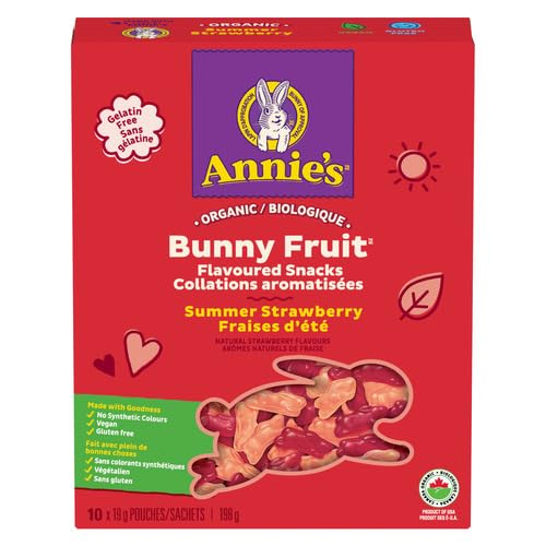 Organic Strawberry Fruit Snacks - ANNIE'S Family Pack (10 Pouches) | No Artificial Colors, Gelatin Free, Gluten Free, Vegan | Perfect for Lunchboxes, After-School Snacks & On-the-Go Healthy Treats