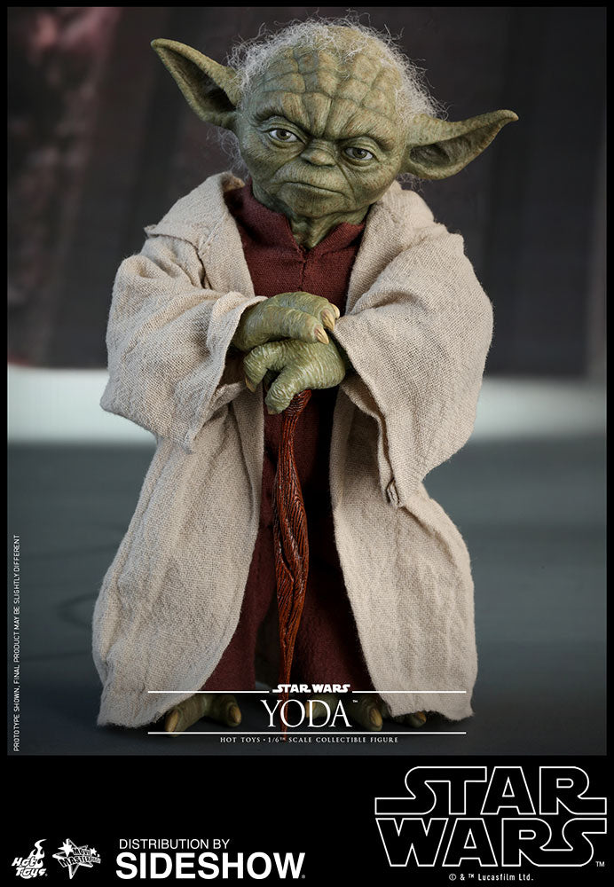 Star Wars Episode II Attack of the Clones Master Yoda 1/6 Scale Collectible Figure - Highly Detailed Hot Toys Action Figure for Display & Star Wars Fans Collection