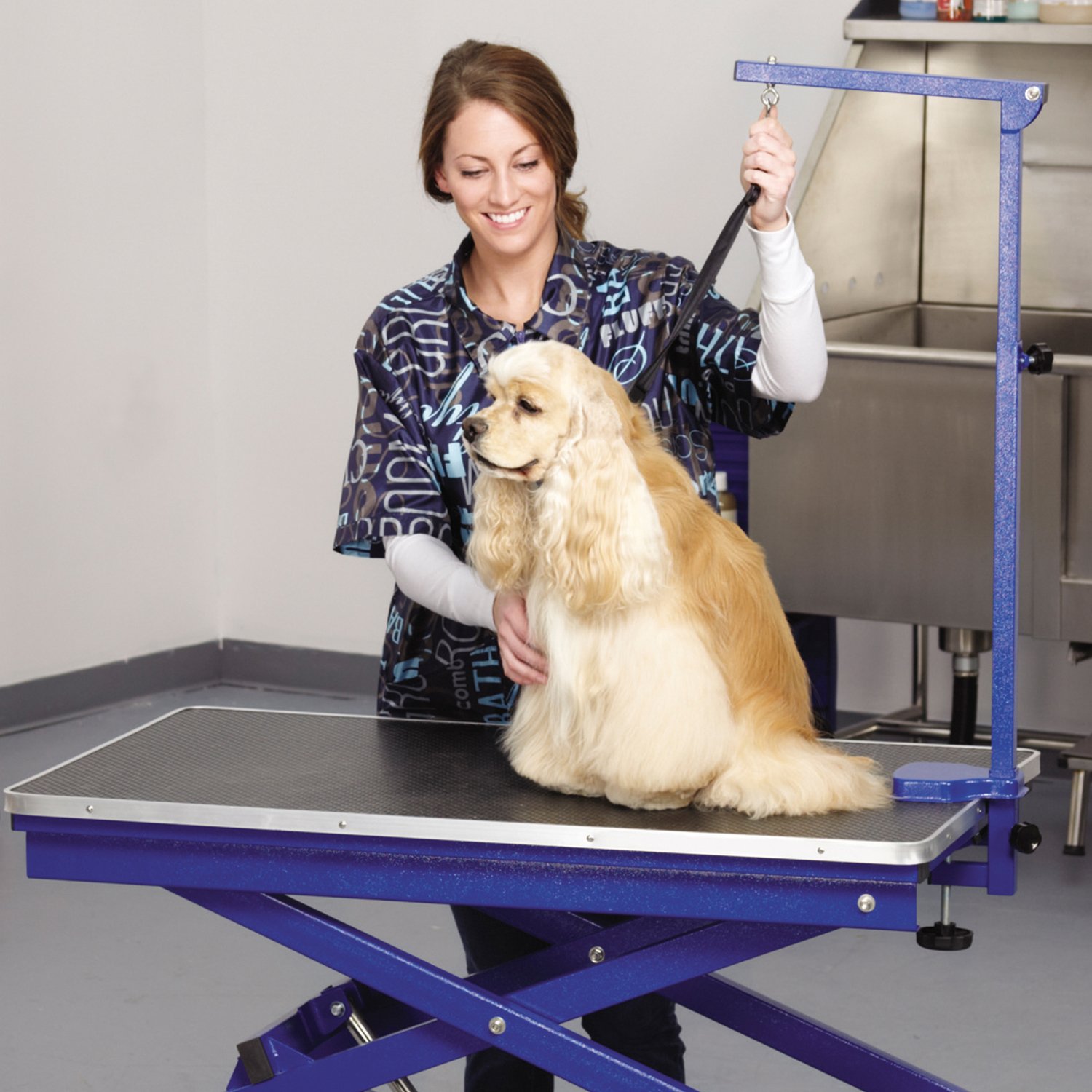 Master Equipment Xtend Electric Grooming Table for Dogs & Cats - Adjustable Height Blue Pet Grooming Station for Professional & Home Use