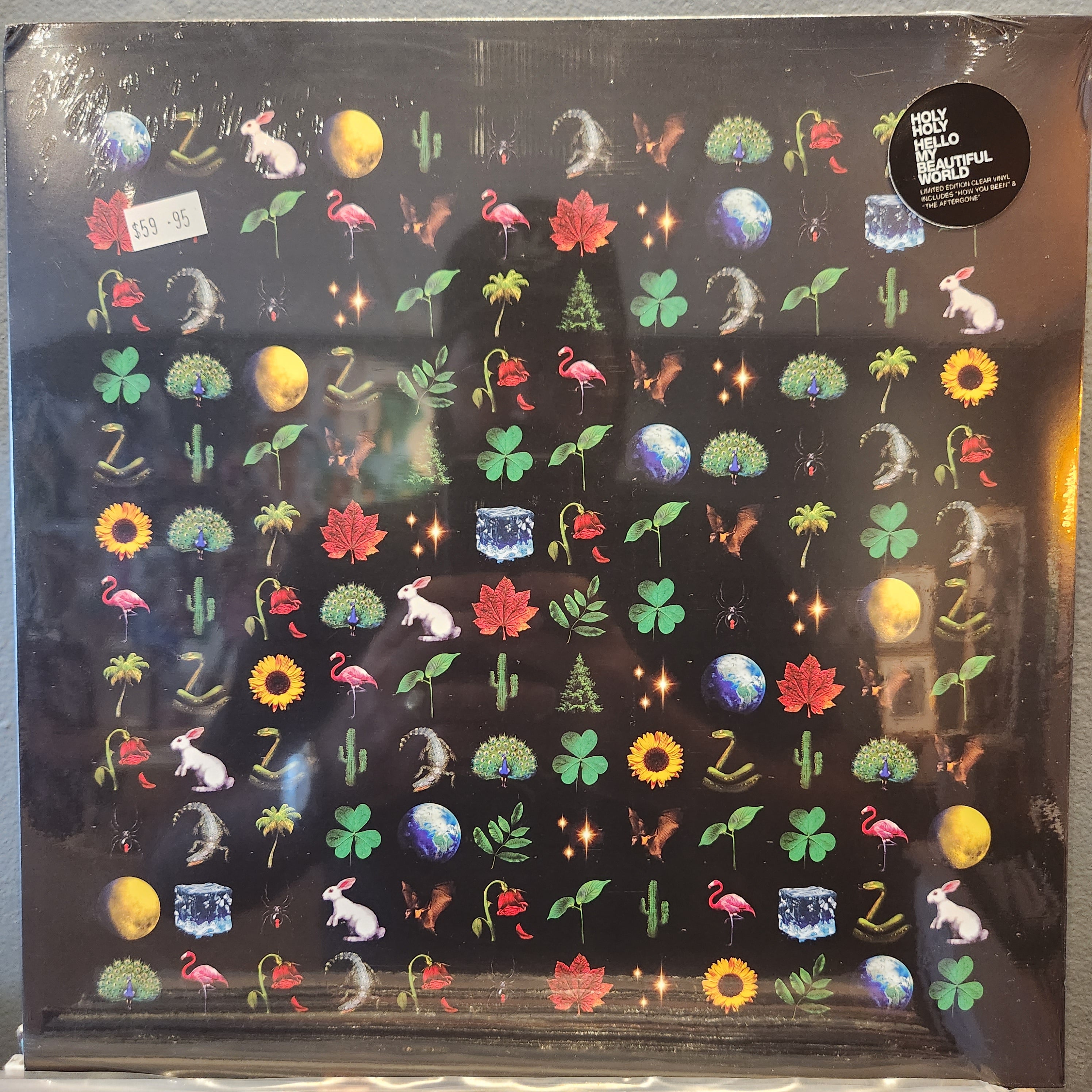 Holy Holy - Hello My Beautiful World Limited Edition Color Vinyl Record - Perfect for Collectors & Music Lovers