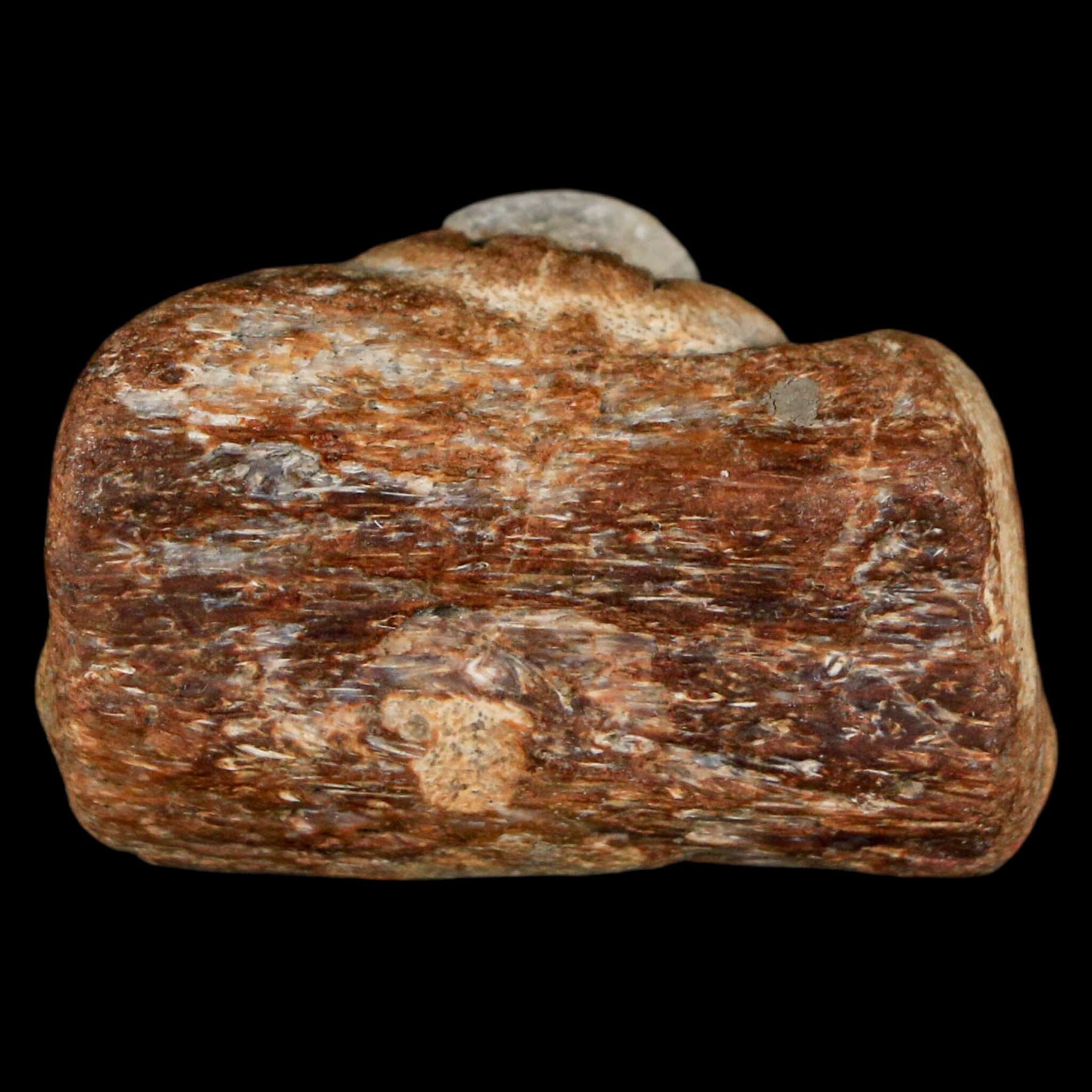 1.5