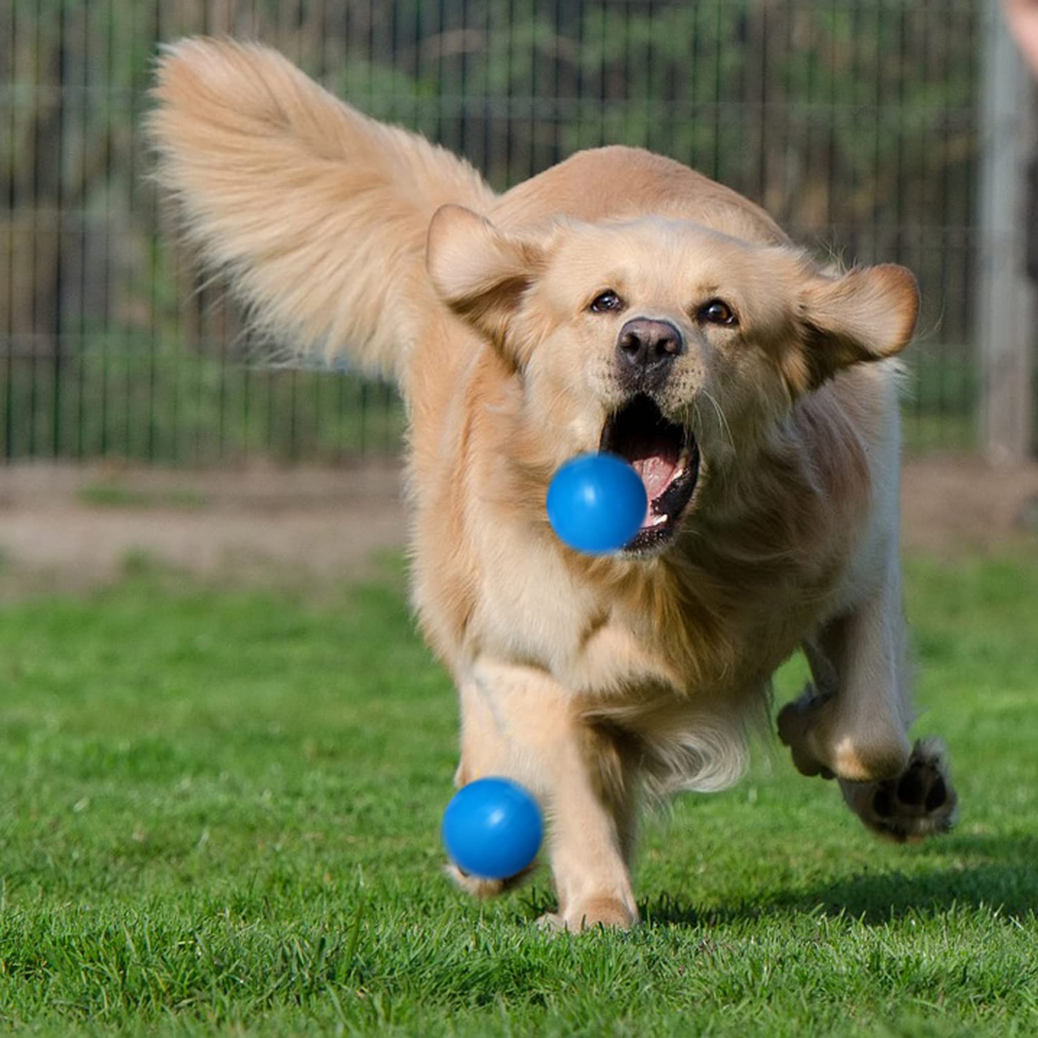 Indestructible Dog Balls for Aggressive Chewers - 100% Safe Non-Toxic Solid Rubber Chew Toys - Floating Durable Bouncy Ball for Medium & Large Breed Dogs - Perfect for Training, Playtime, Fetch & Outdoor Exercise
