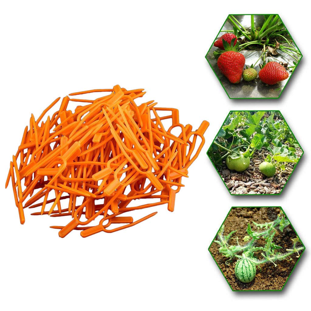 100PC Heavy Duty Garden Clips for Plant Support - Greenhouse, Trellis, Tomato, Vine Clips - Durable Yellow Plastic Clips for Lawn & Garden - Perfect for Outdoor Gardening, Greenhouse Organization, and DIY Plant Training