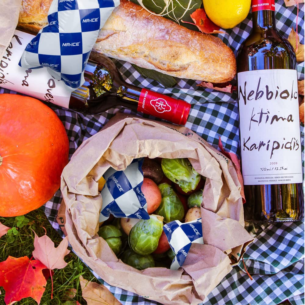 Reusable Dry Ice Packs for Shipping & Storage - Long Lasting Cold Packs for Lunch Boxes & Coolers - Perfect for Frozen Food, Drinks & Meal Prep - Ideal for Camping, Picnics & Grocery Delivery