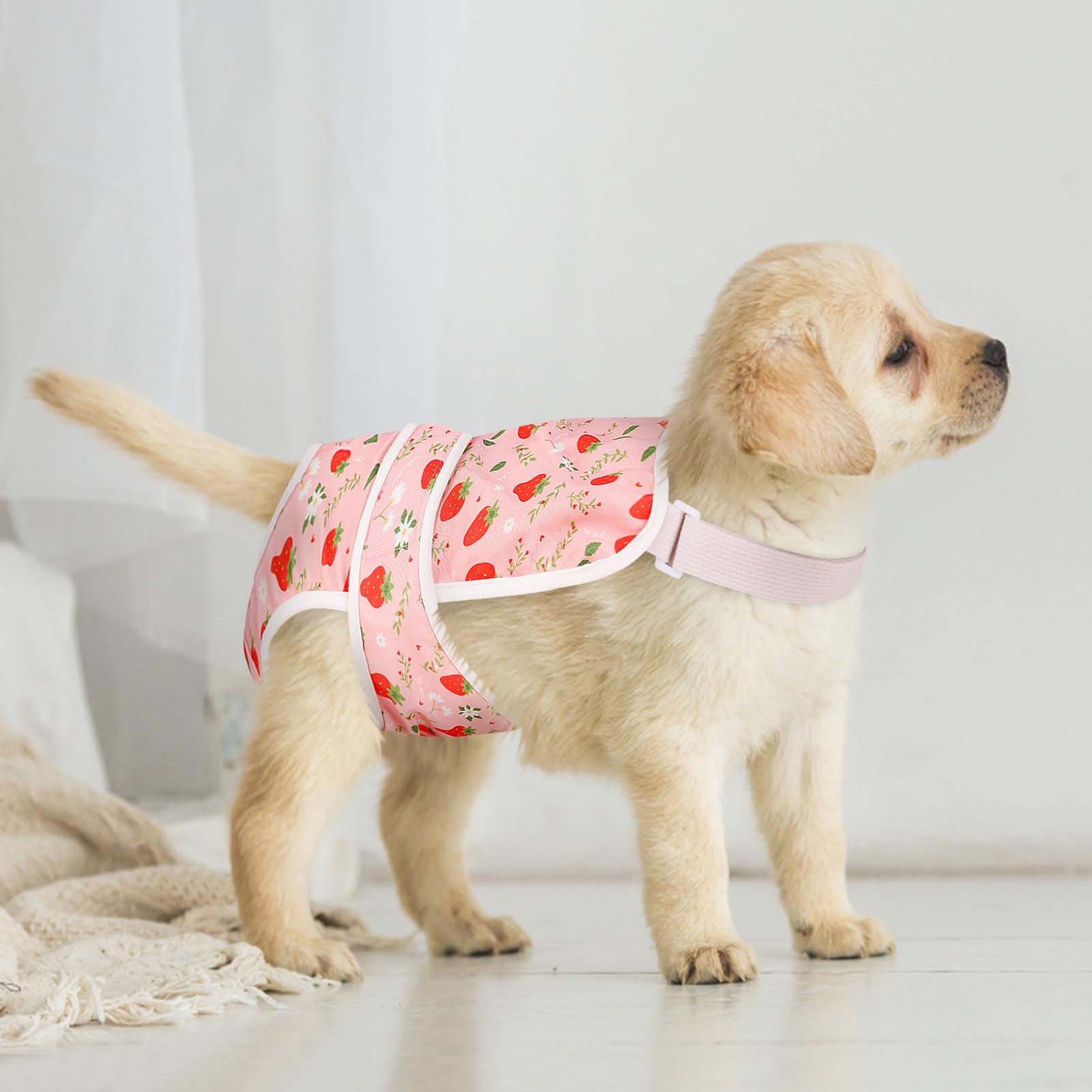 ASENKU 2 Pack Washable Female Dog Diapers - Reusable Pet Panties for Small Dogs in Heat, Period Protection with Adjustable Suspenders | Perfect for Indoor Use, Travel & Nighttime Protection