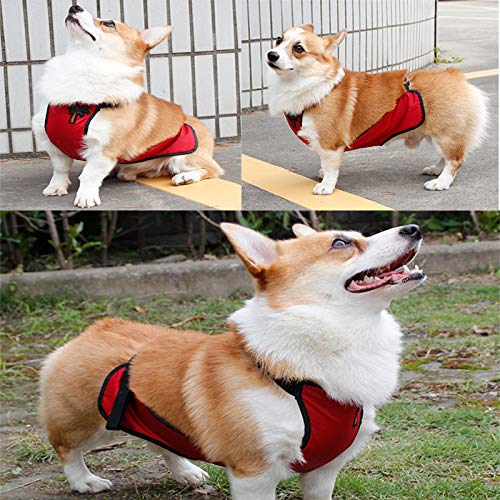 Waterproof Dog Belly Vest - Warm Pet Apron Cover Protector for Small Dogs, Puppies & Corgis - Ideal for Cold Weather, Indoor/Outdoor Use & Post-Surgery Protection