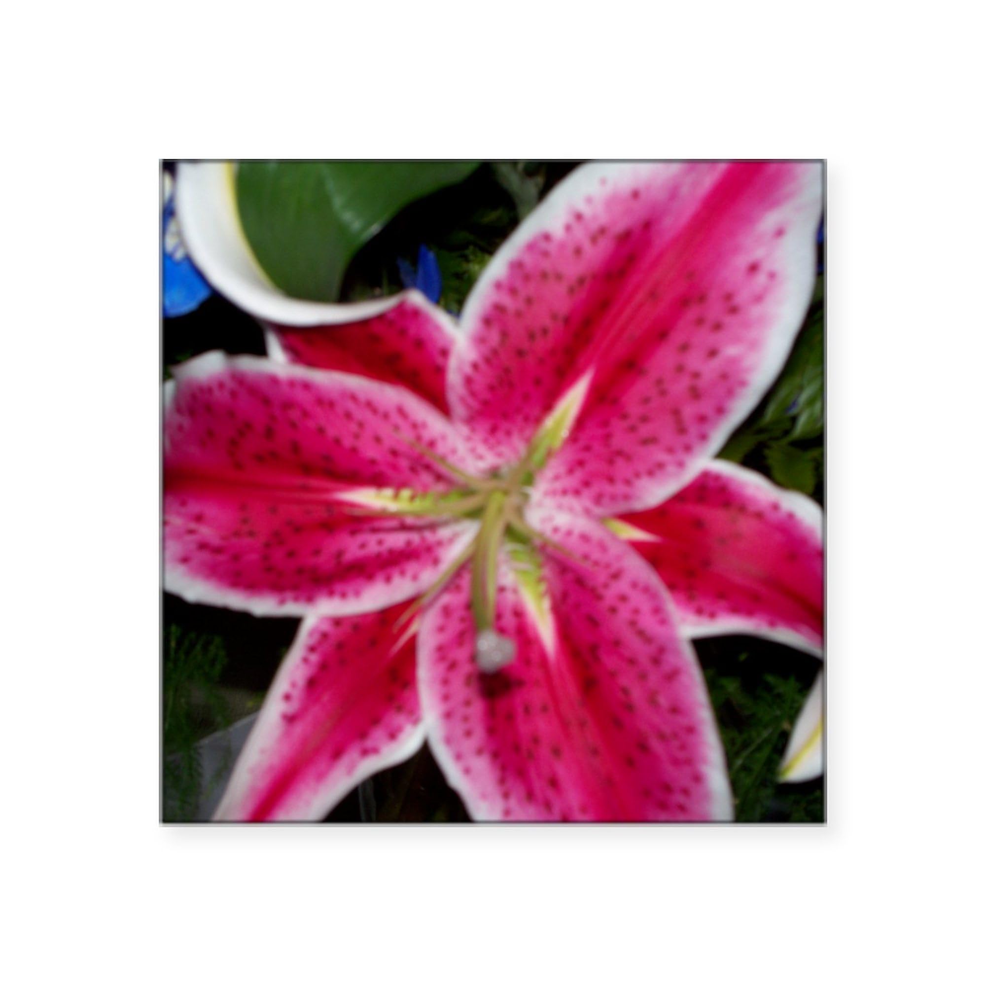 100_1328 Square Bumper Sticker - Durable Car Decal for Vehicles, Laptops & Windows - CafePress Premium Vinyl Stickers for Cars, Trucks, Bumpers & Personalization
