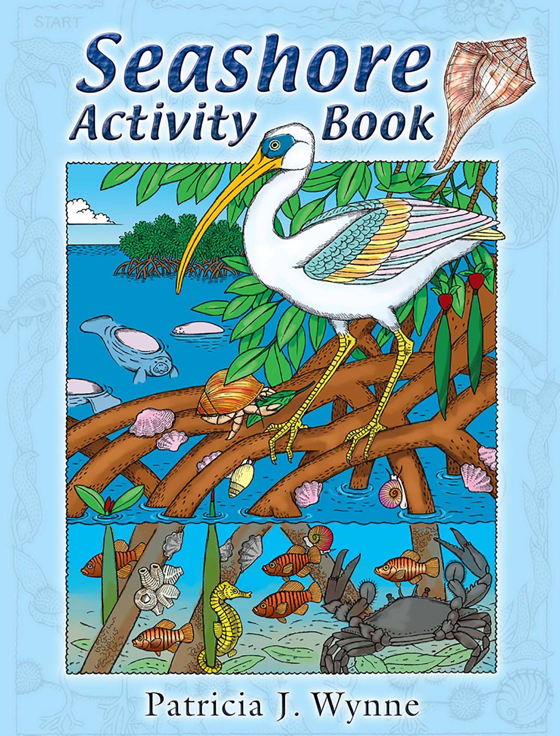 Seashore Activity Book for Kids - Fun Nature Learning & Creative Play | Dover Kids Activity Books | Perfect for Beach Trips, Summer Camp & Outdoor Adventures