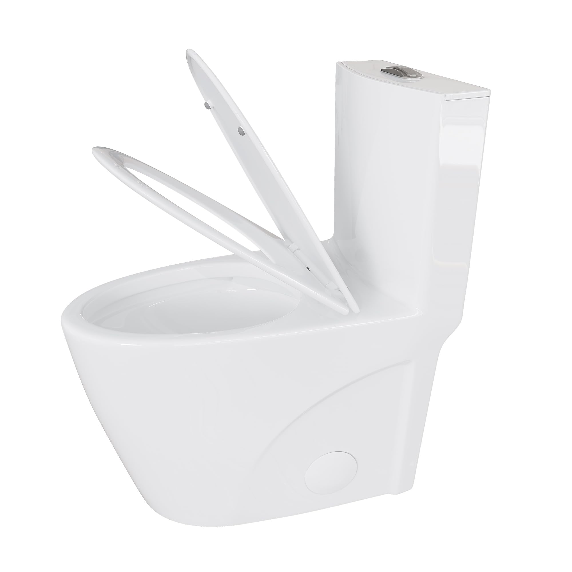 Eridanus Elongated One Piece Toilet - 1.1/1.6 GPF Dual Flush, 12