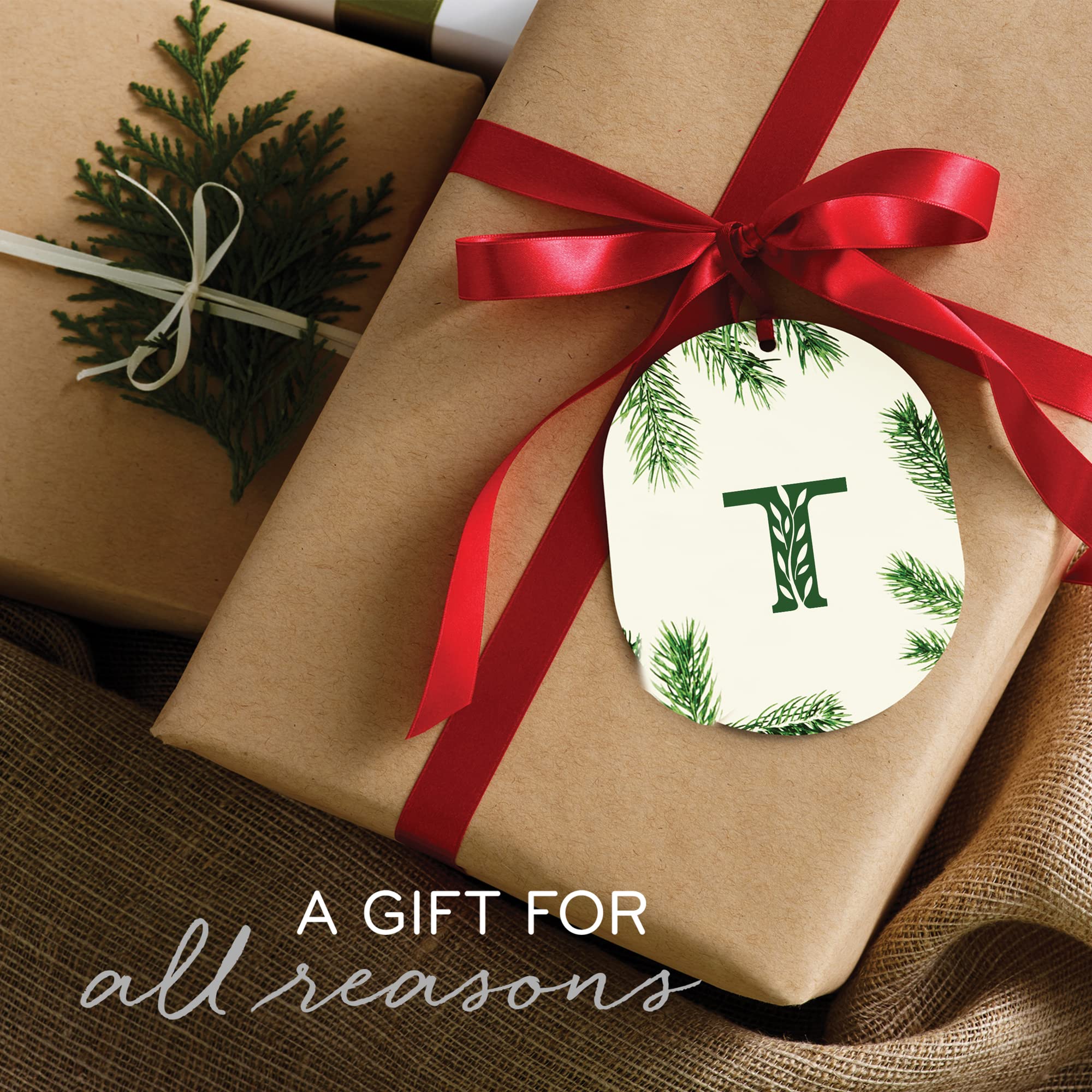 Thymes Frasier Fir Scented Candle - Large 4 Wick (40 oz) - Siberian Fir, Cedarwood & Sandalwood Aroma - Silver Pine Needle Design Home Decor - Perfect for Christmas, Cozy Evenings & Aromatherapy