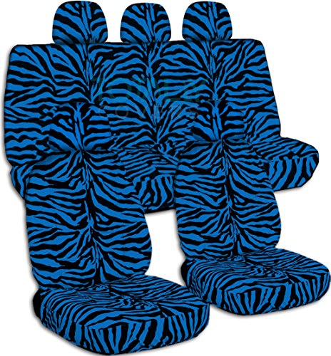 Blue Zebra