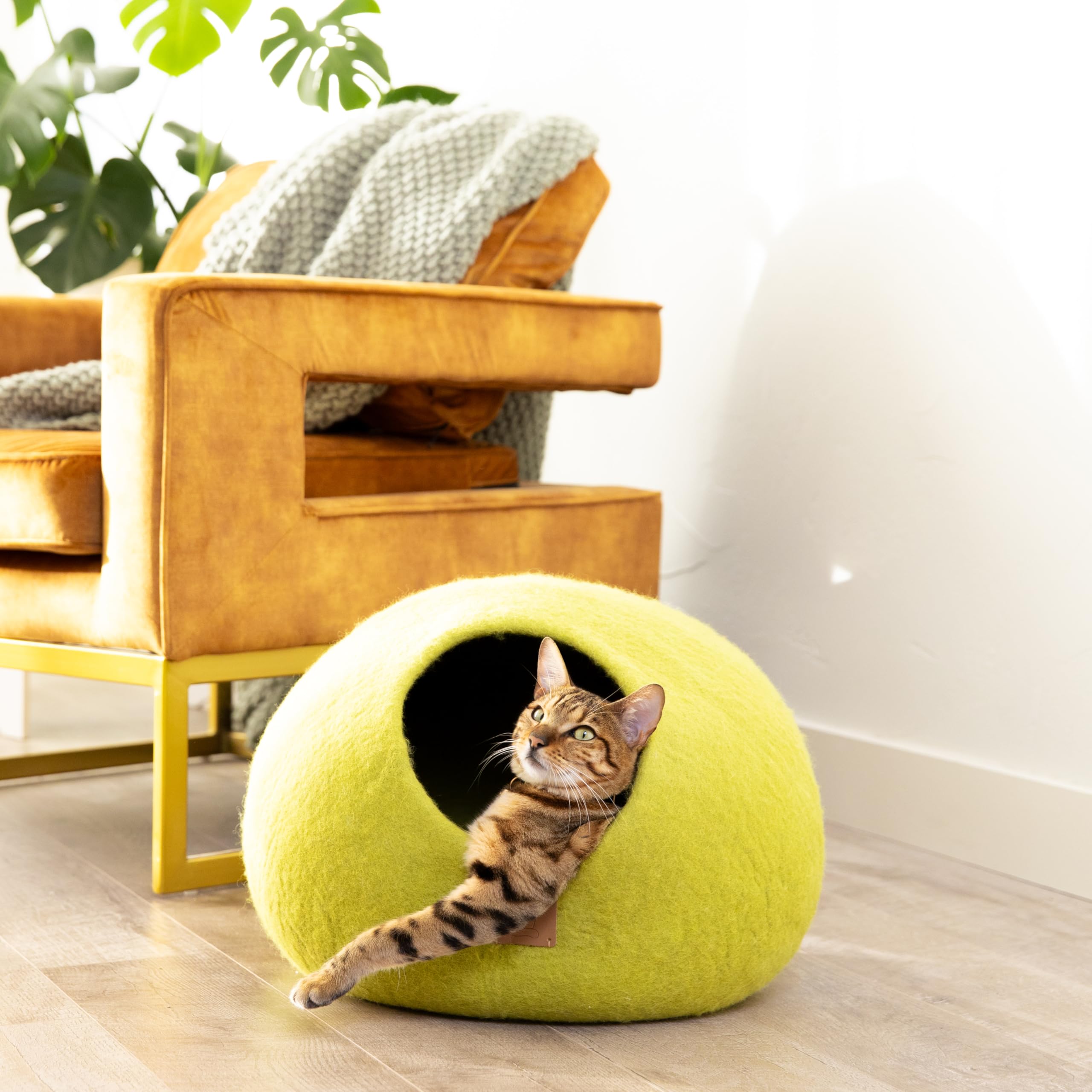 Premium Felted Wool Cat Cave Bed - Best Aesthetic & Cozy Peekaboo Round Cat Bed for Large & Small Cats (Small, Citrus Green) - Perfect for Indoor Napping, Playtime & Pet Photography