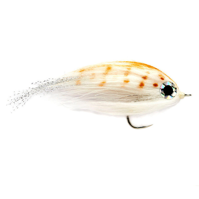 Fulling Mill Bus Ticket Fly - Durable Fishing Fly for Trout and Salmon - Perfect for Freshwater and Saltwater Fly Fishing Trips