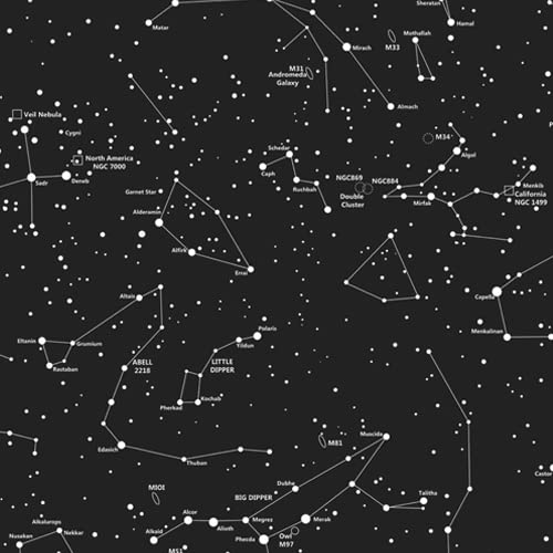 B-The Horoscope