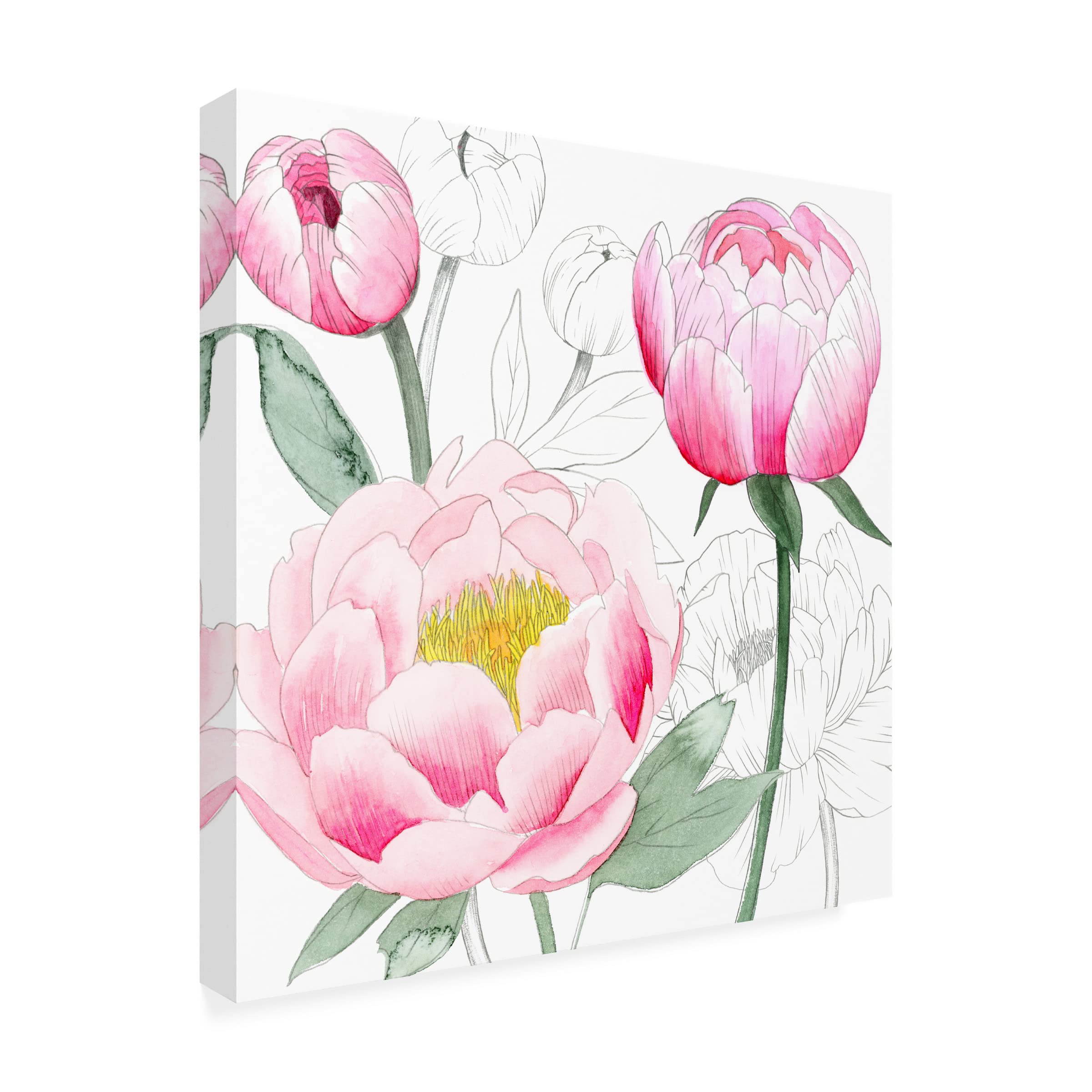 Grace Popp 'May Peonies II' Floral Canvas Wall Art Print - Perfect for Living Room, Bedroom & Office Decor