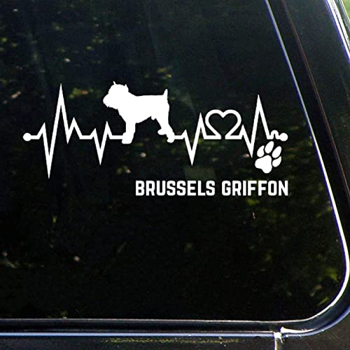 Brussels Griffon