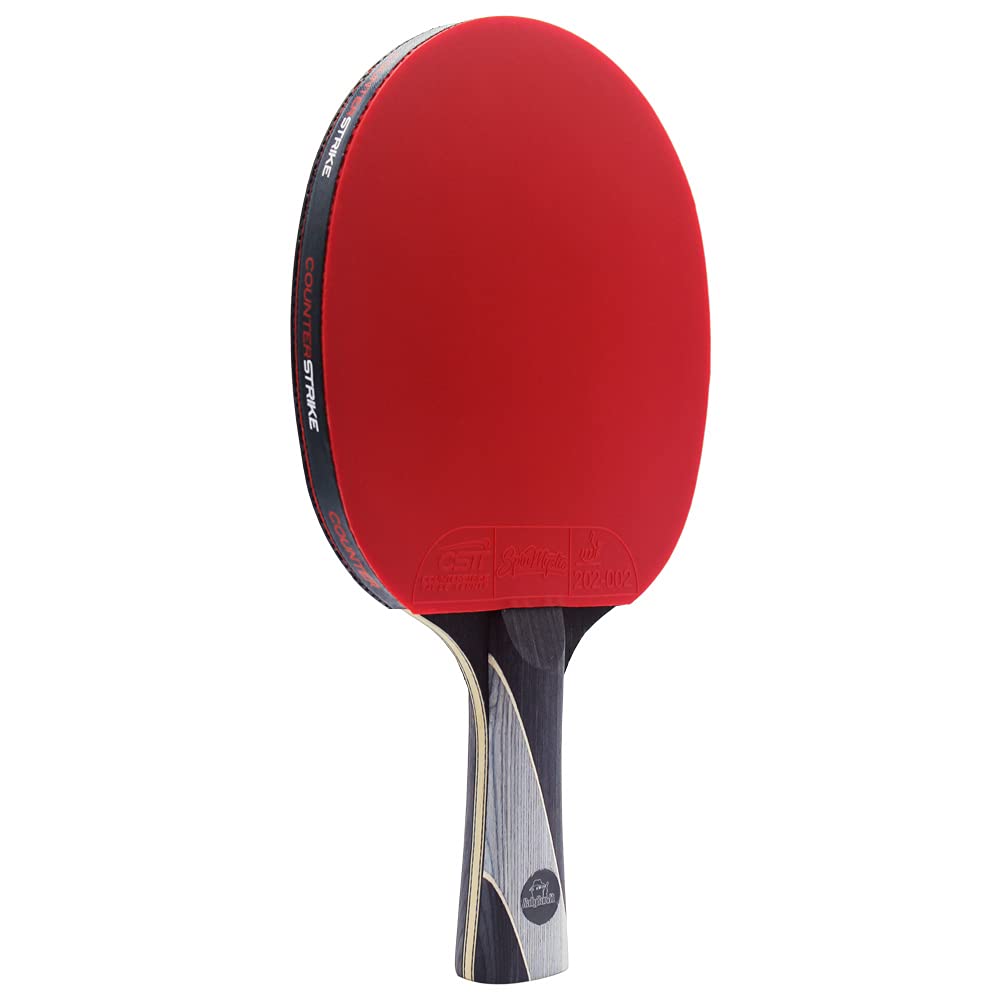 Rally Bandit Pro Ping Pong Paddle Set with Hard Case & 6 Balls | ITTF Approved Carbon Table Tennis Racket for Tournament Play | Perfect for Home, Club & Competitive Matches