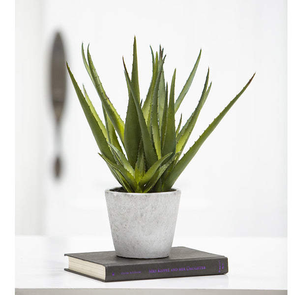 15.5 Inch Artificial Aloe Plant in Cement Pot - Green - Perfect for Home, Office, and Indoor Decor