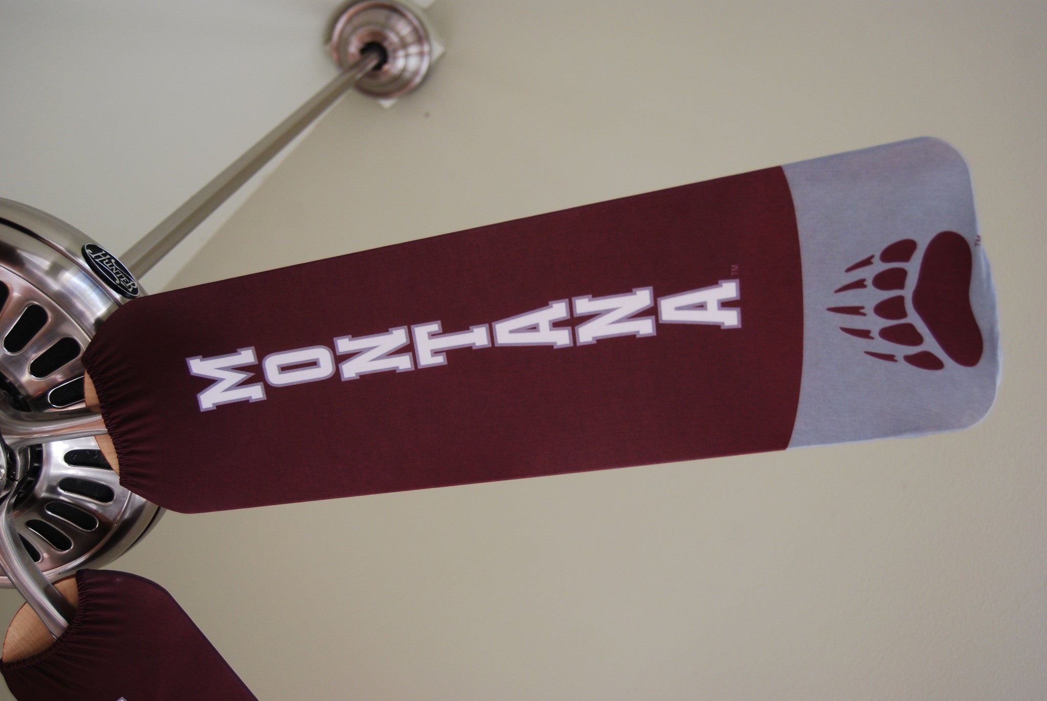 University of Montana Grizzlies Official Merchandise & Apparel - Hoodies, T-Shirts, Hats for Fans | Perfect for Game Day, Tailgating & School Spirit