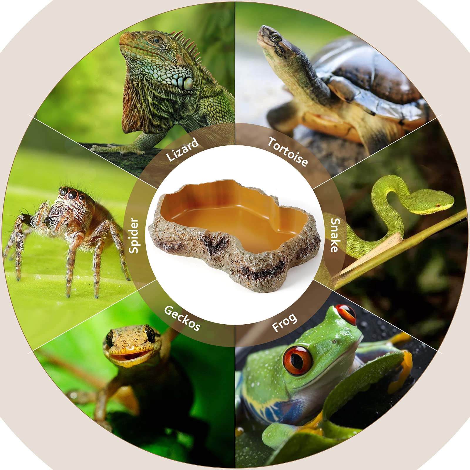 Natural Resin Reptile Food & Water Rock Bowls - Dual-Purpose Worm Feeder Dish & Terrarium Decor for Lizards, Chameleons, Frogs, Bearded Dragons | Perfect for Desert & Tropical Habitat Setups