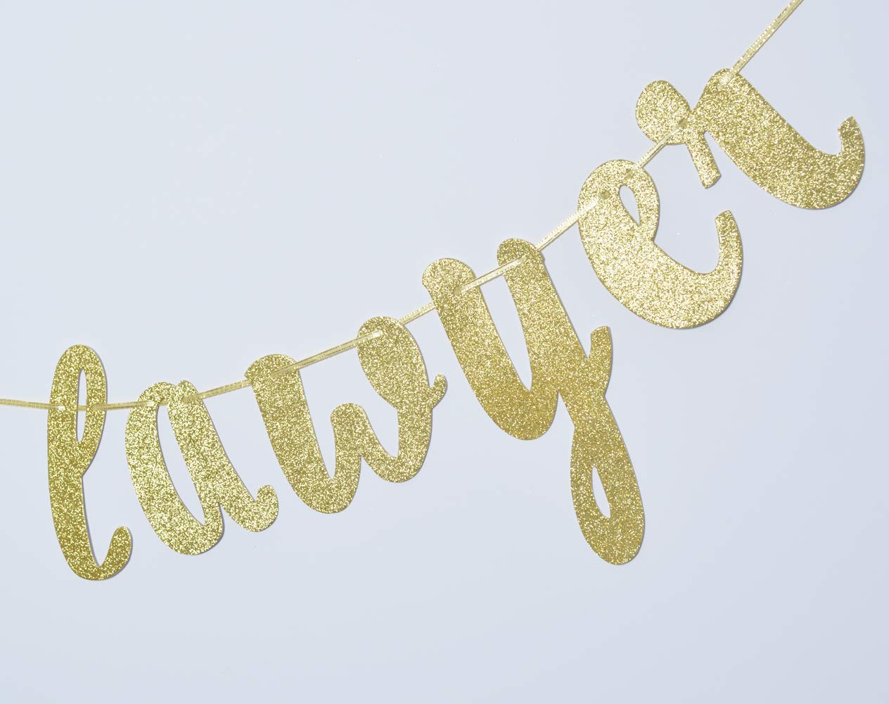 Future Lawyer Glitter Gold Banner - Law School Graduation Decorations for Wall, Party & Celebration - Perfect for Graduation Ceremony, Office Decor & Lawyer Gifts (Gold)