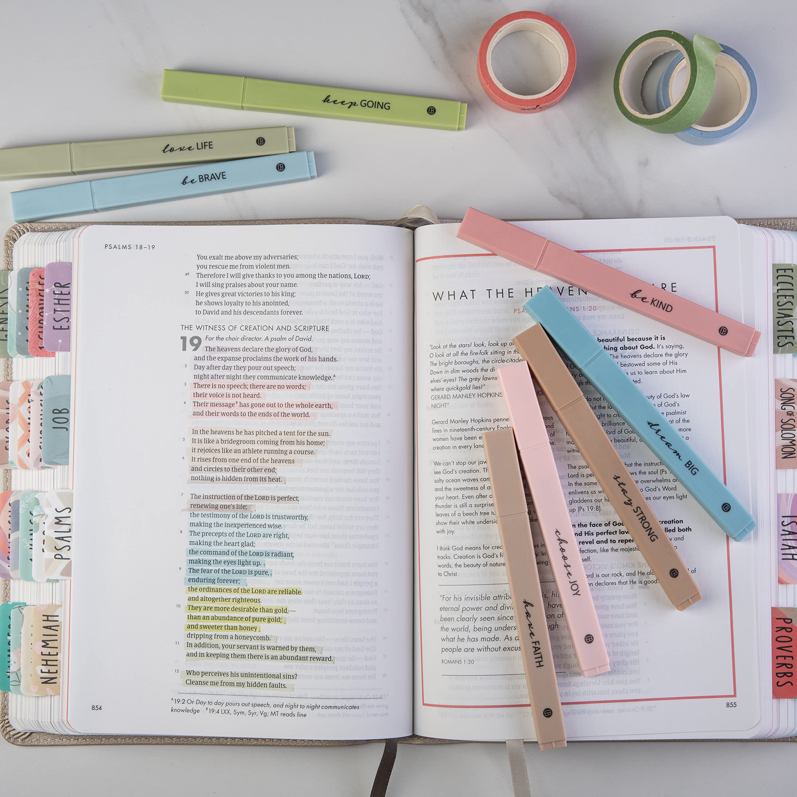 Bible Highlighters 8 Pack - No Bleed Quick Dry Markers for Bible Study & Journaling (Earthy)