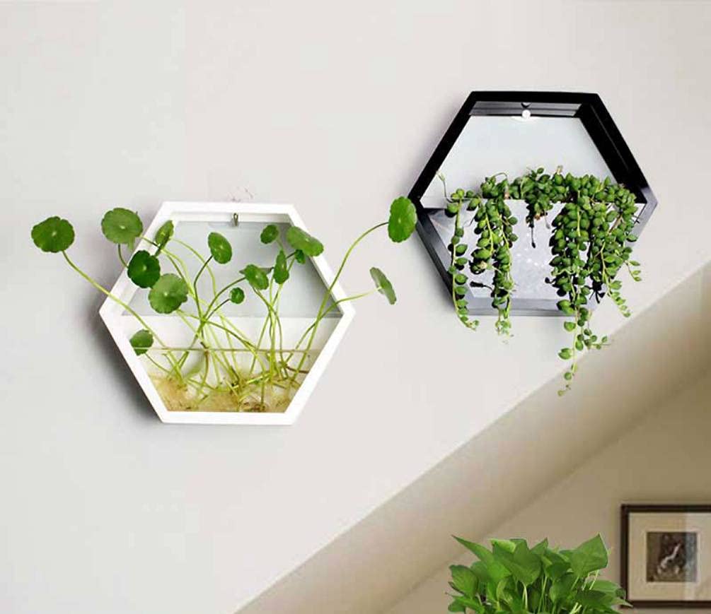 SSZ Creative Wall Hanging Hydroponic Plant Pots with LED Lights - White Small Indoor Garden Decor for Living Room, Bedroom, Office - Perfect for Home Decor, Vertical Gardening & Urban Farming