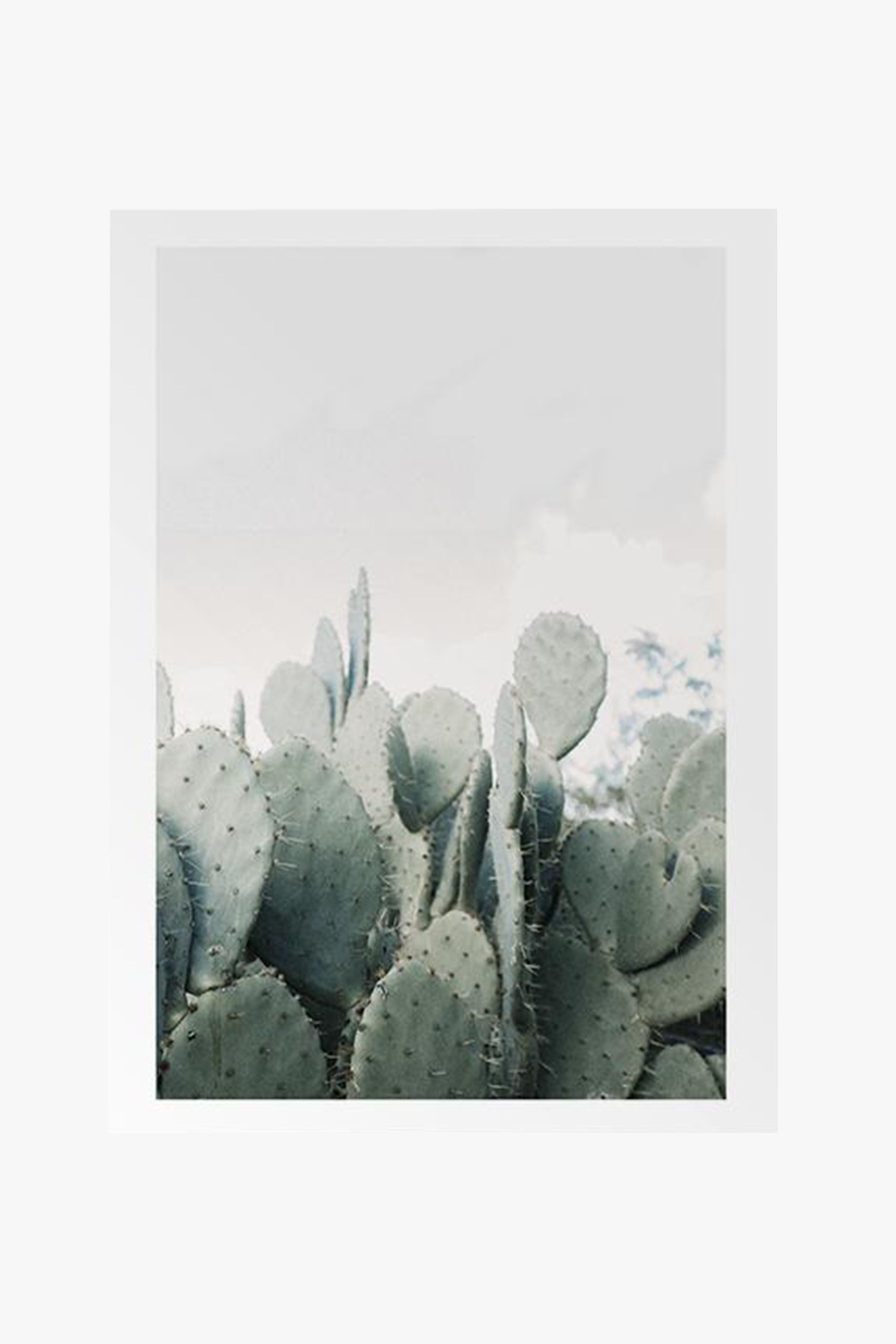 Cacti in the Desert - White Framed A2 Size Wall Art Print - Perfect for Living Room, Bedroom & Office Decor