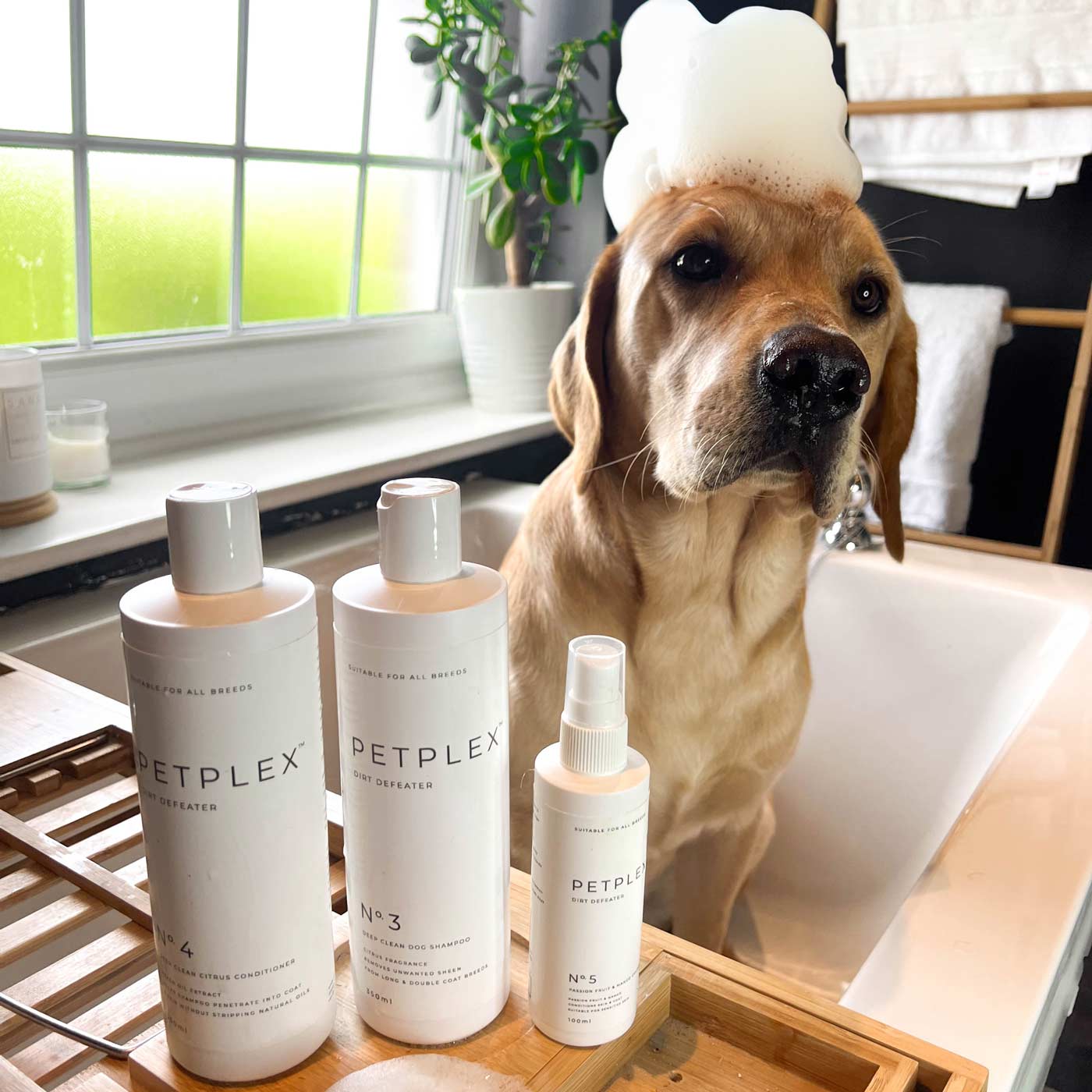 PetPlex No. 4 Dirt Defeater Dog Conditioner - 12oz (350ml) for Long & Short Hair - Moisturizing & Detangling Formula for Bath Time & Grooming Sessions