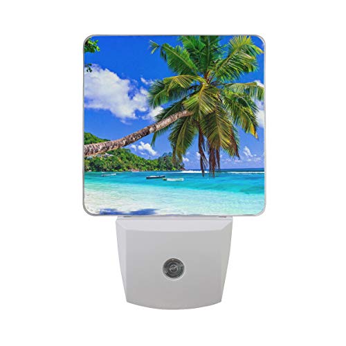 Palm Tree Blue