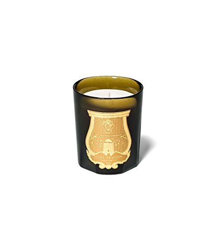 SPIRITUS SANCTI