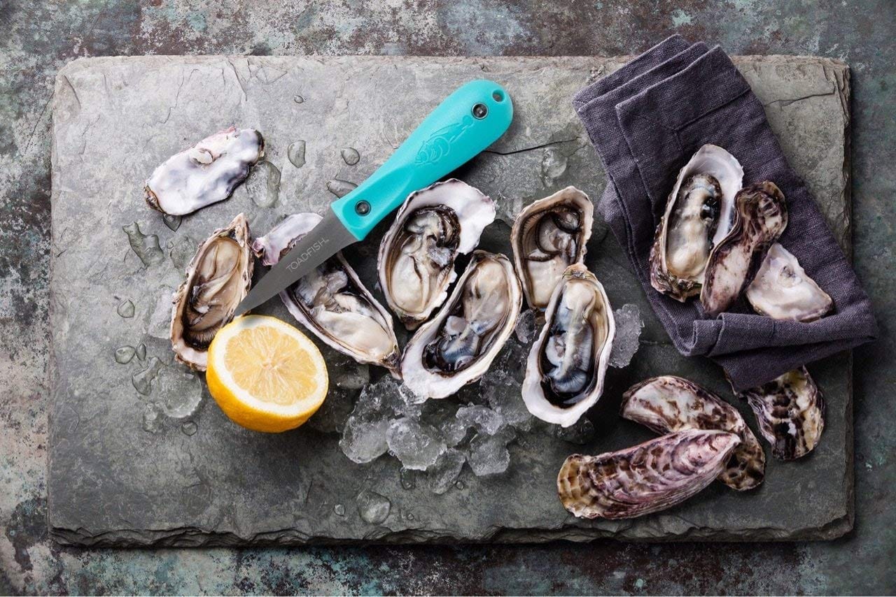 Toadfish Outfitters Premium Oyster Knife - Stainless Steel Shellfish Shucking Tool for Oysters, Clams & Seafood - Perfect for Home Chefs, Beach Parties & Seafood Restaurants
