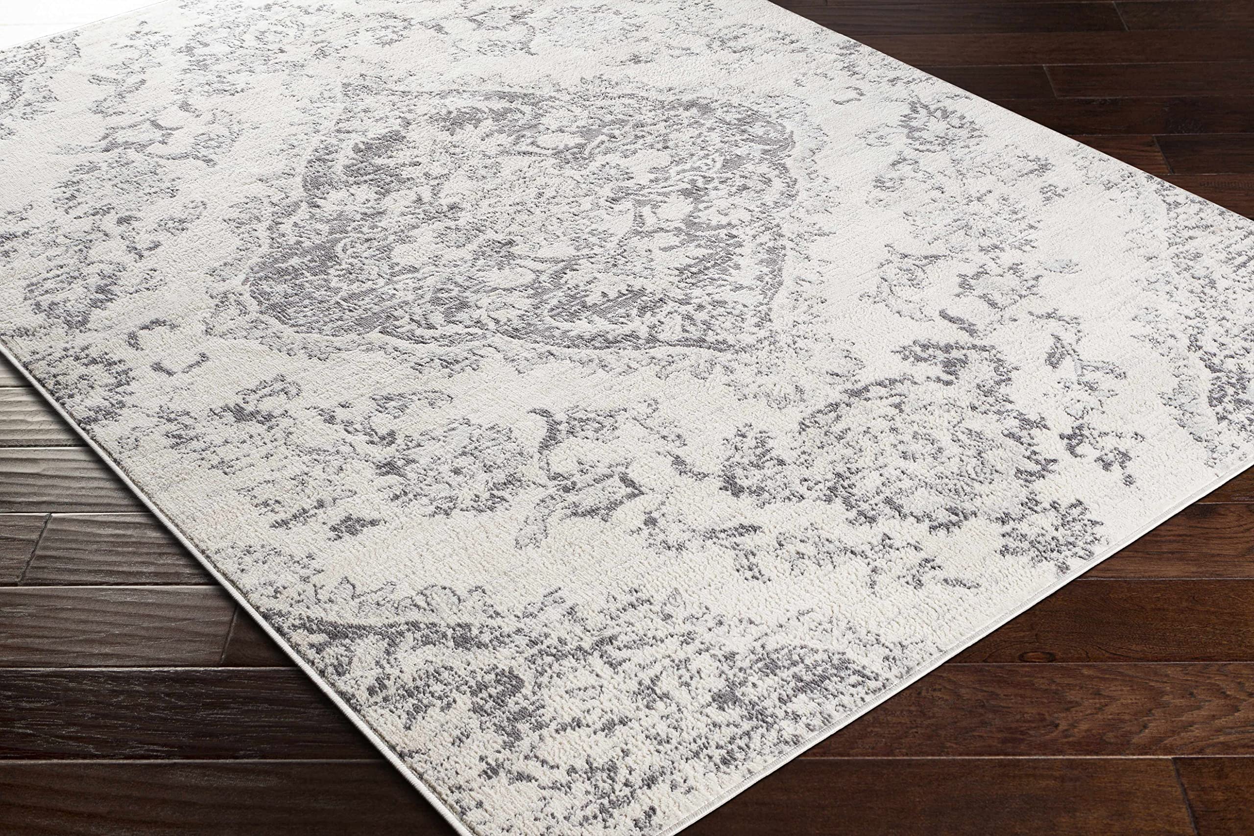 Hauteloom Kotara Traditional Gray and Beige Area Rug 9' x 12'3