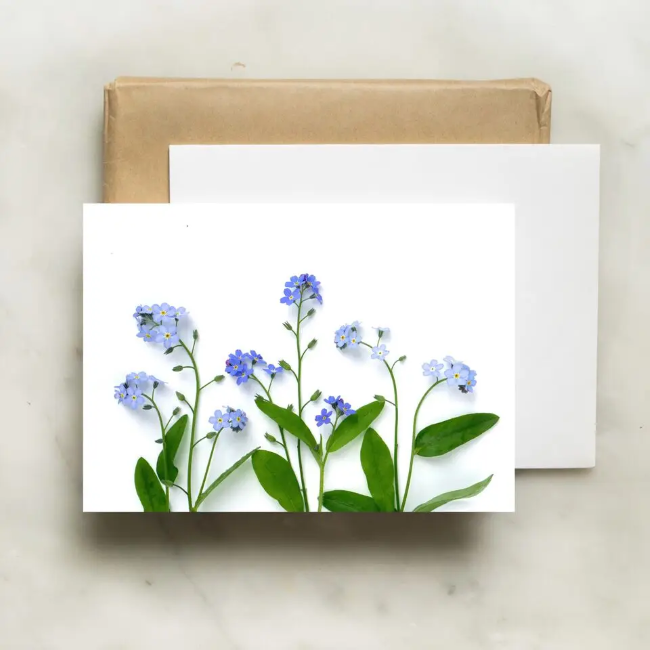 Forget Me Nots Botanical Greeting Card with Bottle Branch Design - Perfect for Birthdays, Anniversaries & Special Occasions