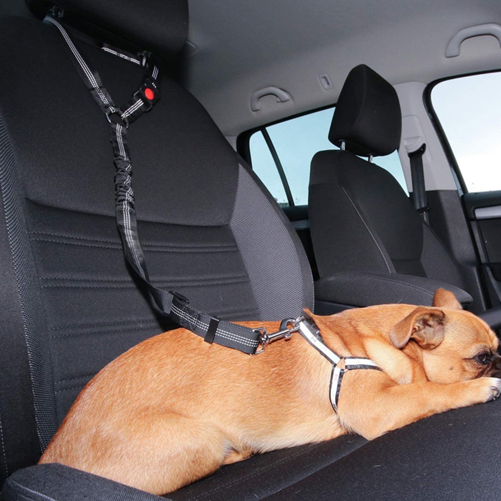 4-in-1 Dog Car Safety Set - Adjustable Pet Seat Belt Harness with Removable Hardest Seatbelts, Retractable Vehicle Headrest Restraint - Includes Poop Bags & Travel Dog Bowl (Black) - Perfect for Road Trips, Vet Visits & Daily Commutes with Your Pet
