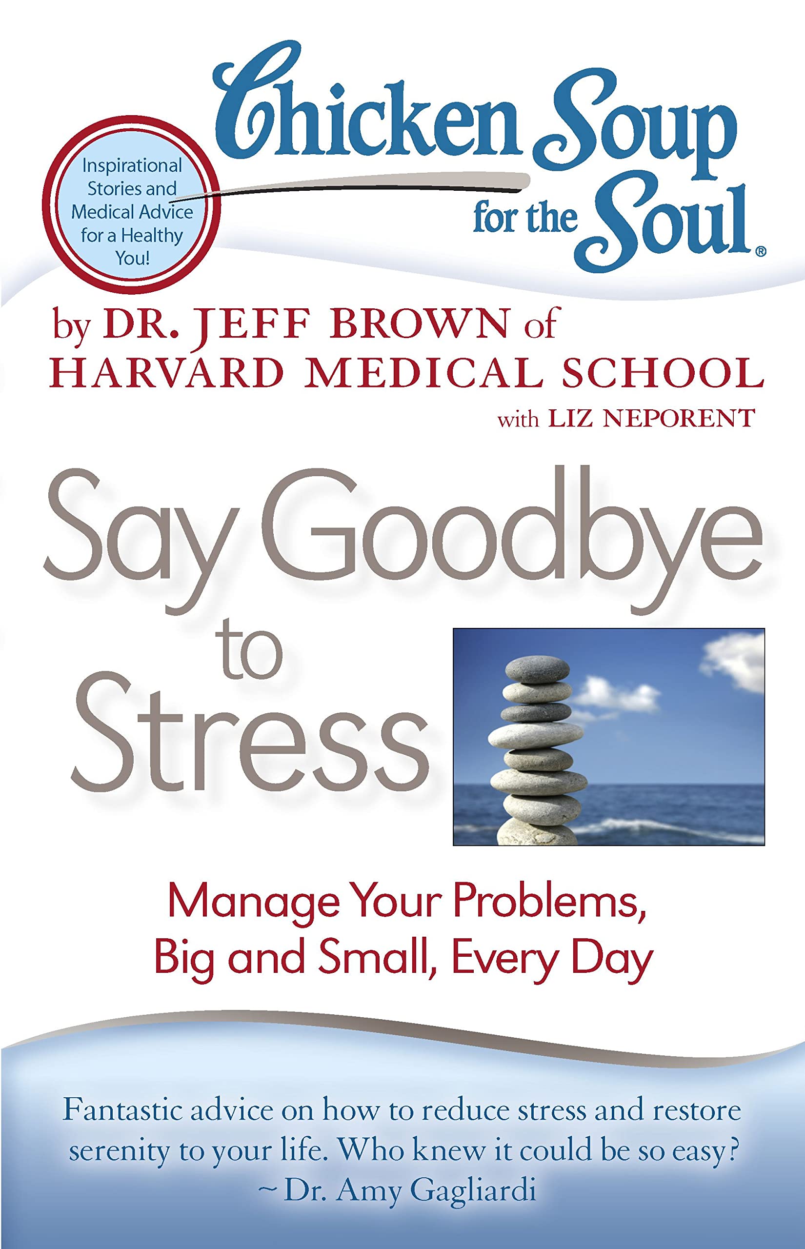 Chicken Soup for the Soul: Stress Relief Book - Daily Guide to Managing Big & Small Problems | Self-Help for Anxiety, Mindfulness & Personal Growth | Perfect for Home, Office or Gift