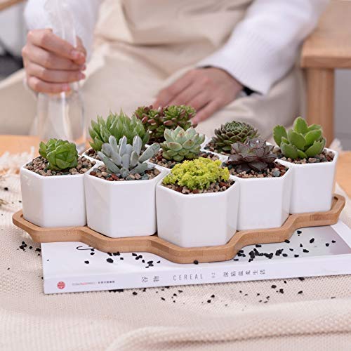Zamtac Set of 9 White Ceramic Hexagon Flower Pots with Bamboo Stand - Succulent Planters, Bonsai Pots for Home Decor, Office Desk & Garden Display