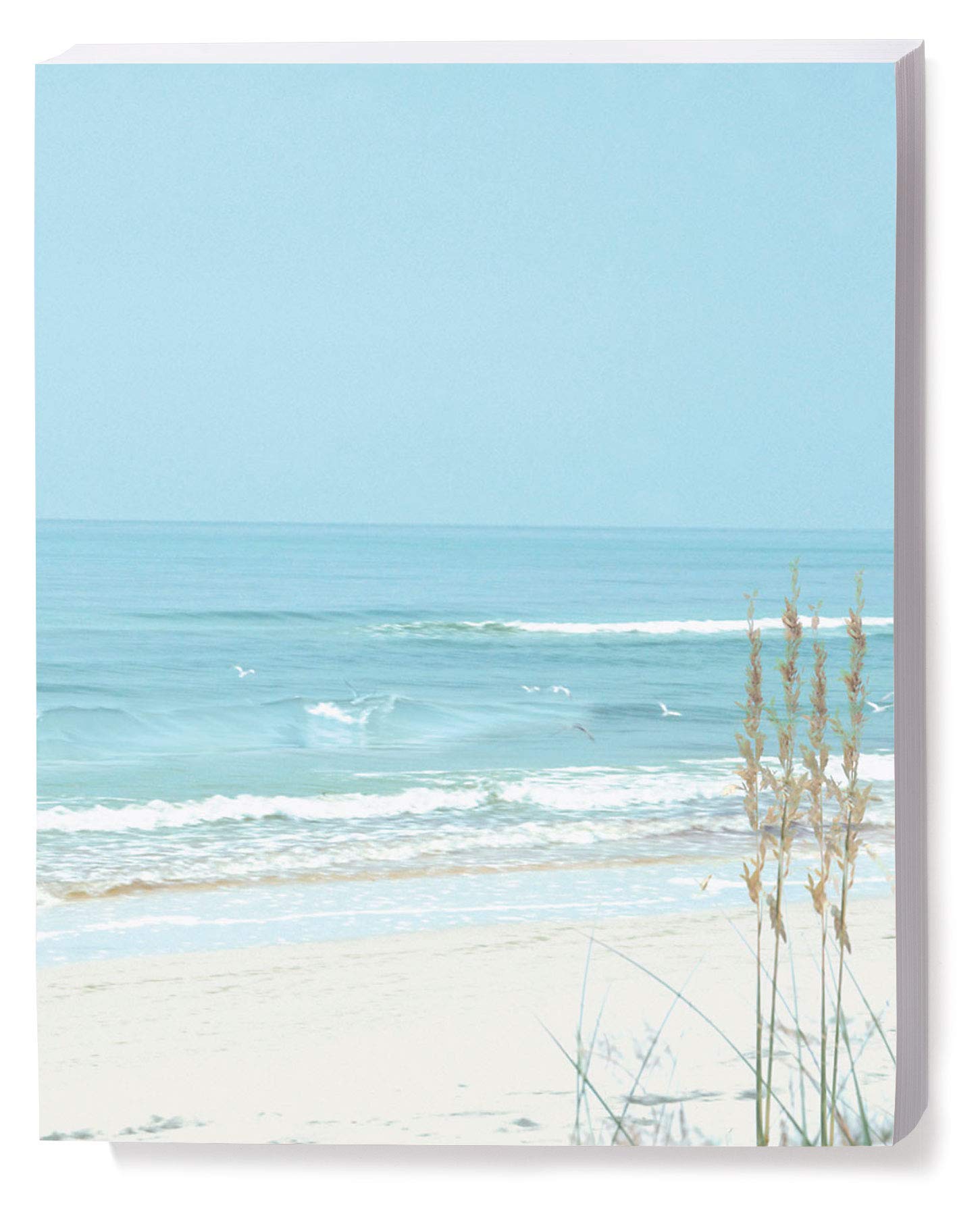 Premium Tropical Beach Stationery Set - 100 Sheets 8.5 x 11 Elegant Letterhead, Border Papers & Invitation Cards | Decorative Writing & Printer Paper for Weddings, Parties & Creative Projects