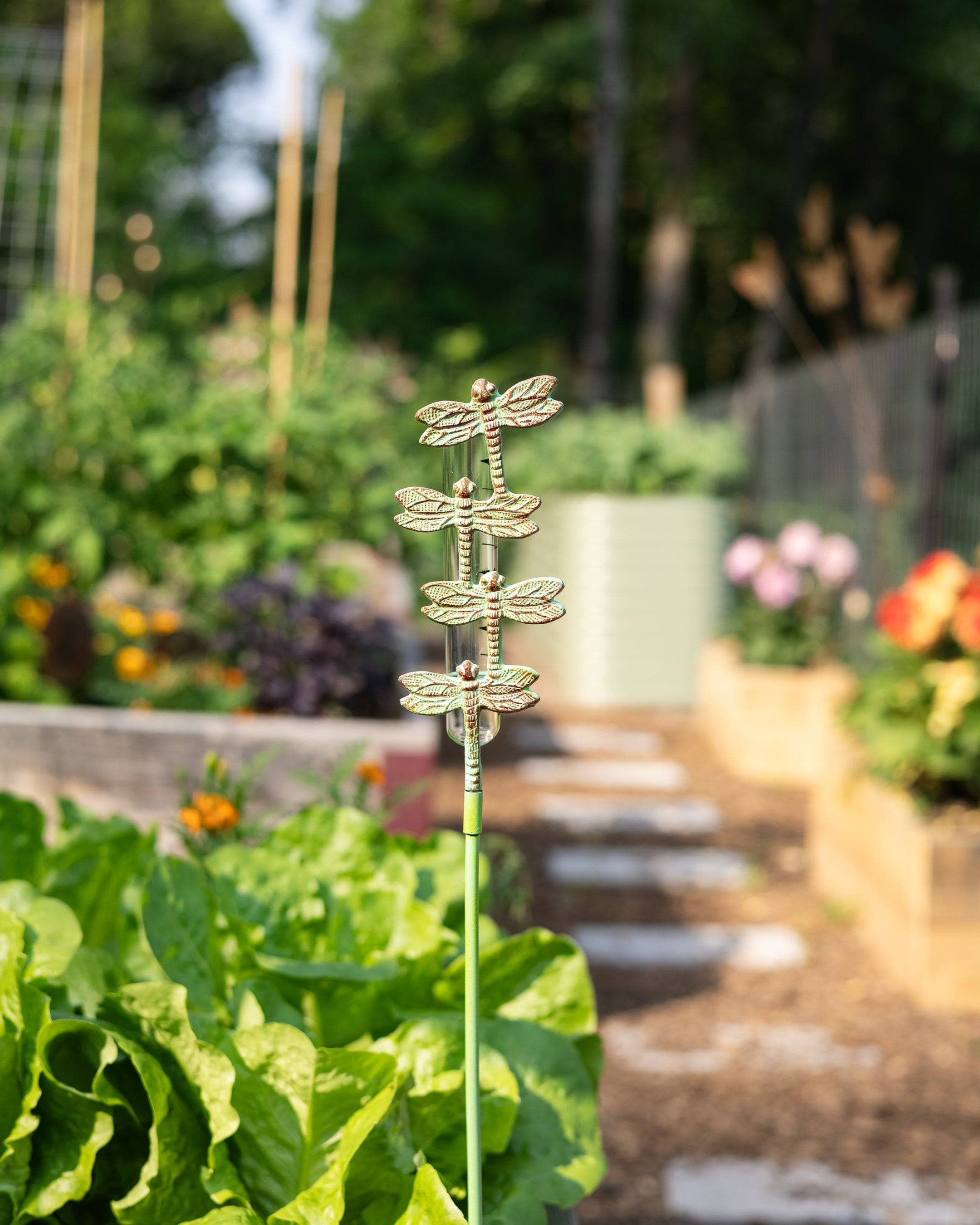 Cast Brass Dragonfly Rain Gauge - Elegant Outdoor Garden Decor for Measuring Rainfall - Perfect for Weather Enthusiasts & Garden Lovers