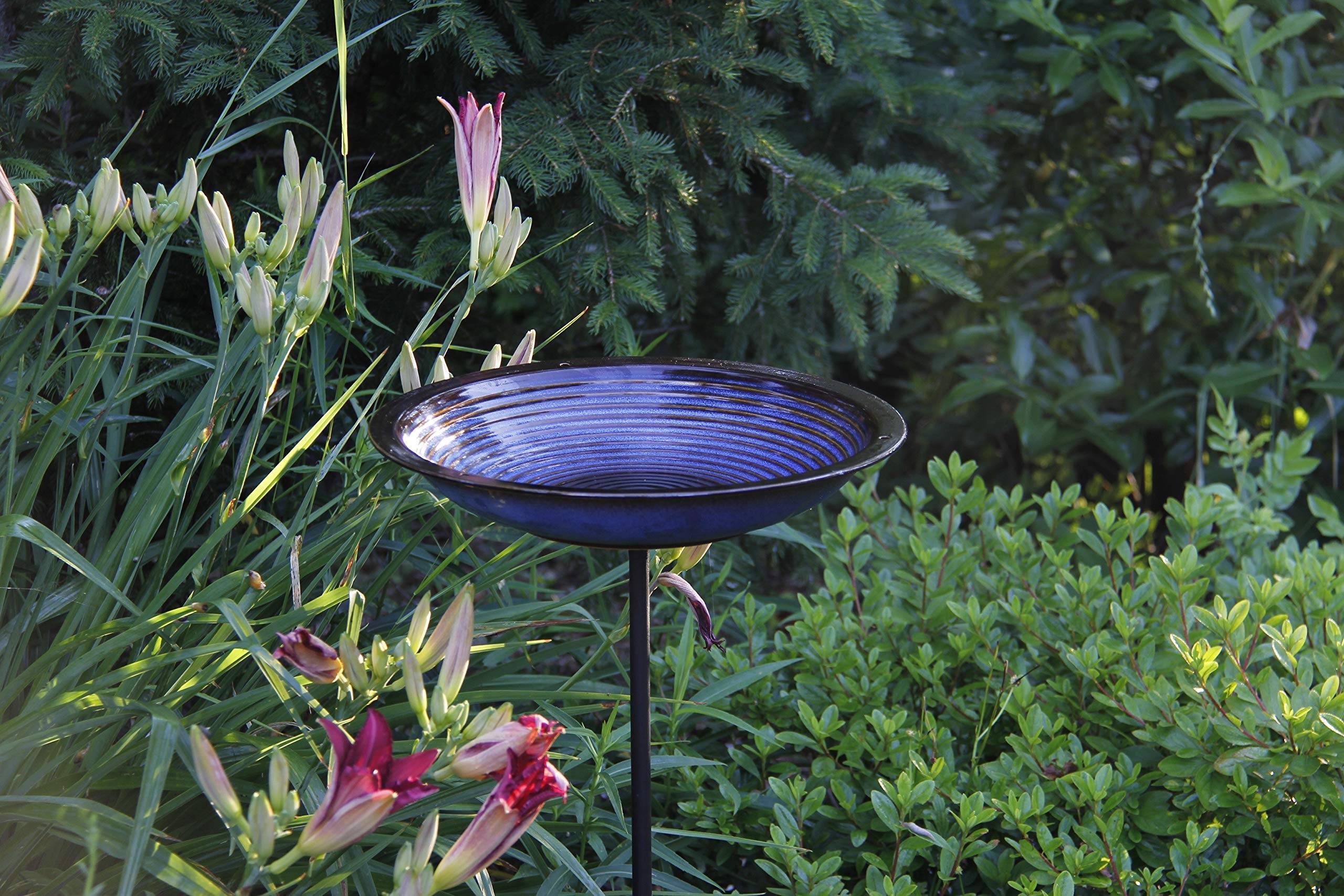 BYER OF MAINE Circle Post Bird Bath in Cobalt Blue with Egg Fly Through Bird Feeder in Mottled Blue - Outdoor Garden Decor for Attracting Wild Birds (Perfect for Backyard, Patio & Bird Watching)